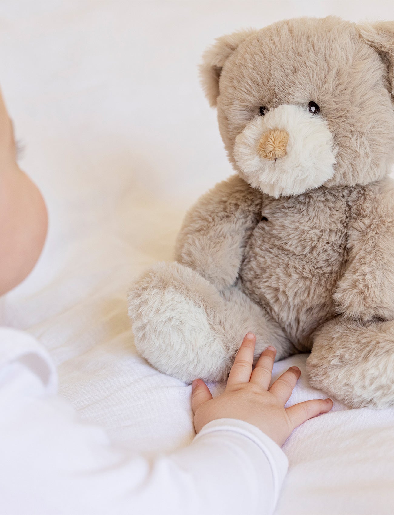 Teddy Mocca, Teddy Bear, Small