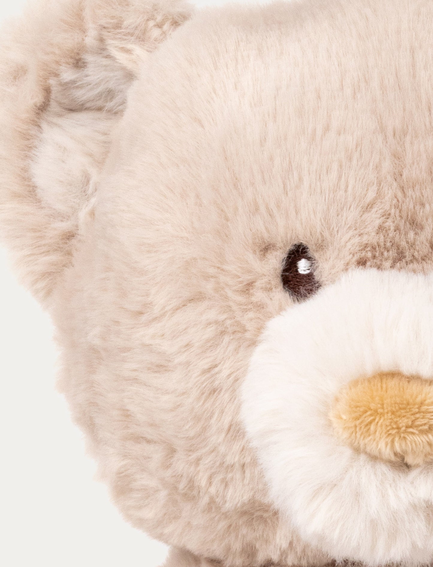 Teddy Mocca, Teddy Bear, Big