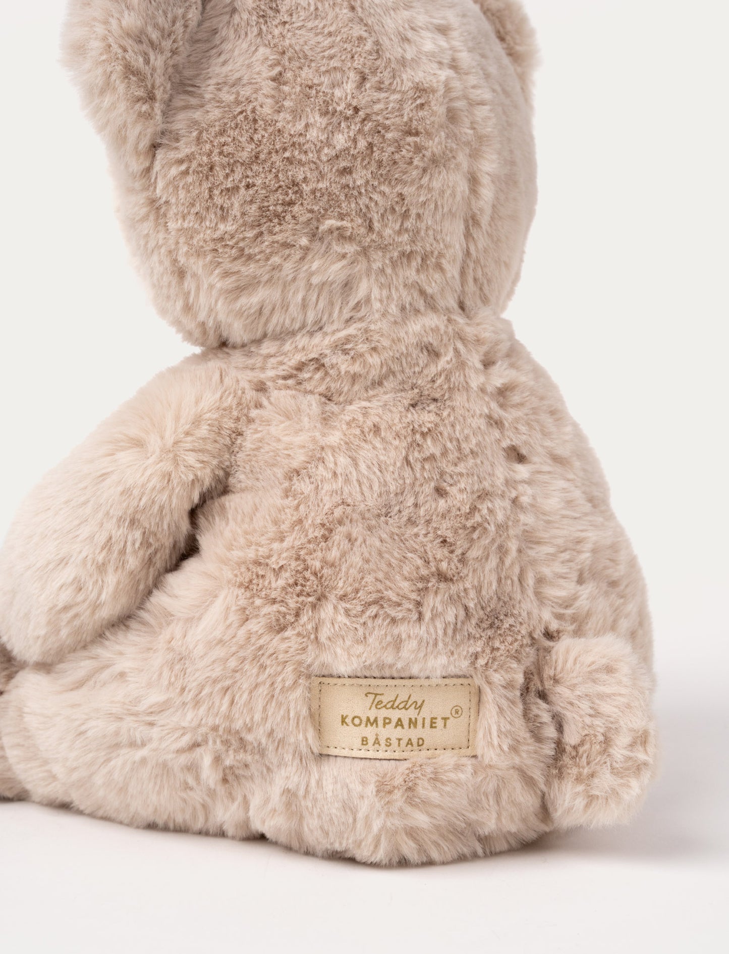 Teddy Mocca, Teddy Bear, Big