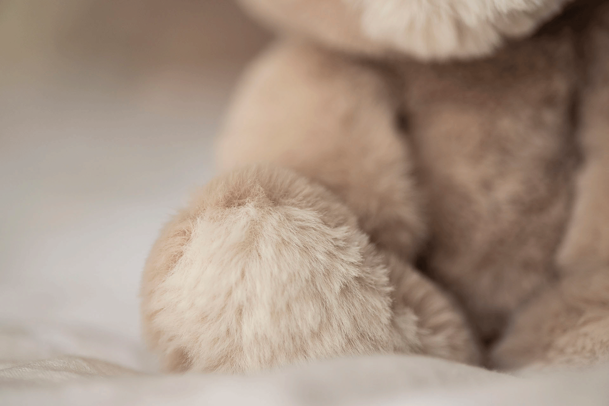  Image of files/4236_DetailFoot_1.png