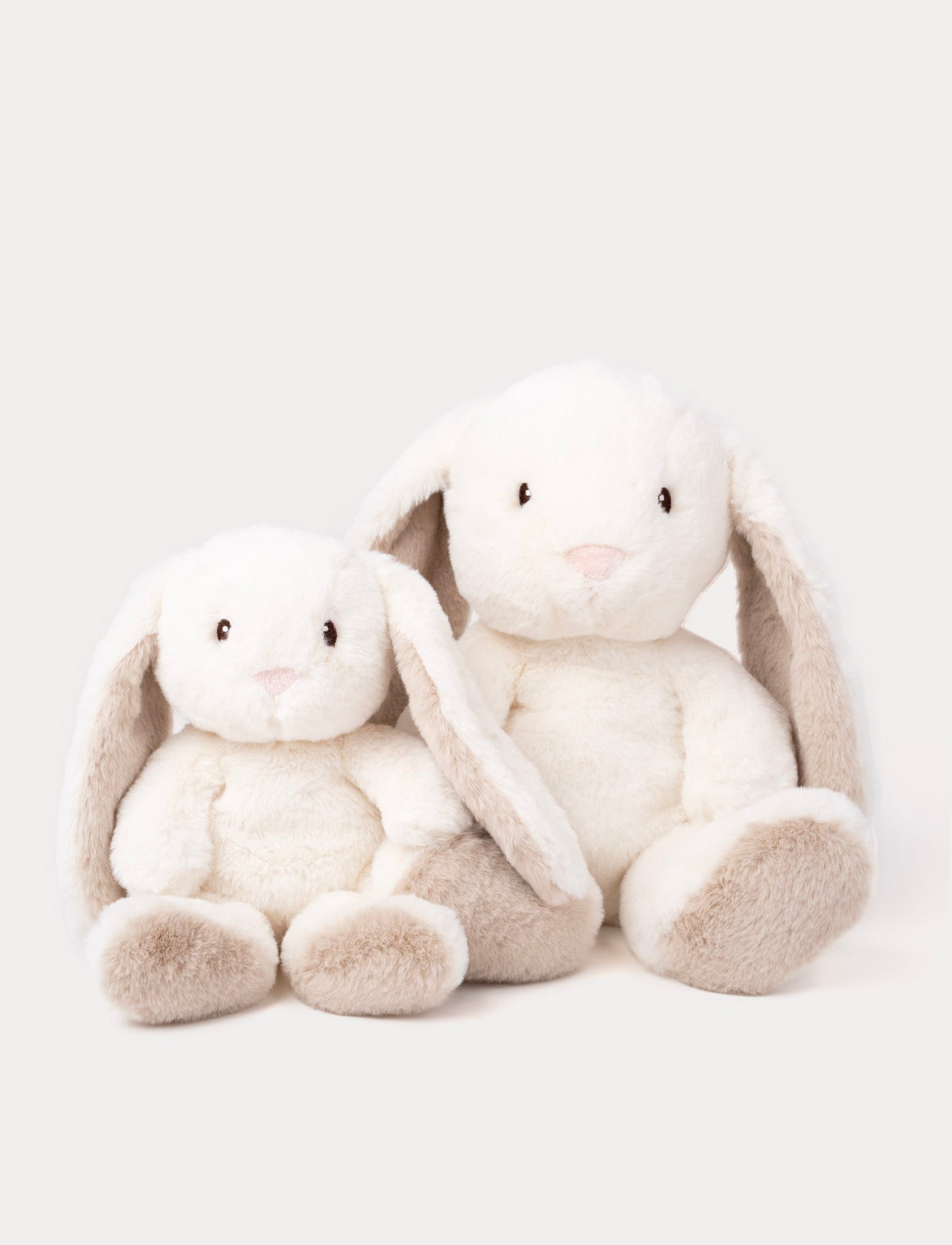 Teddy Mocca, Bunny, Big