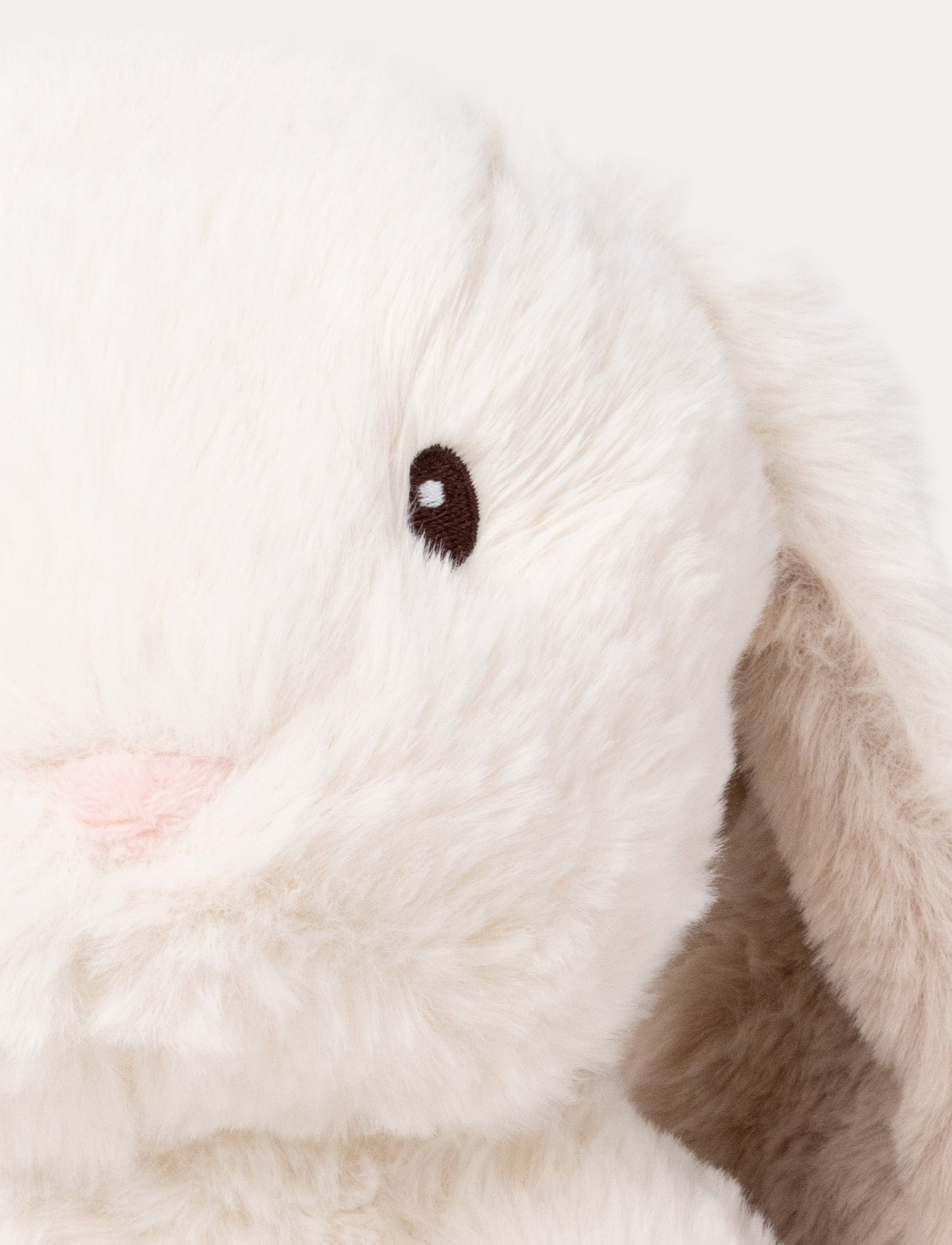 Teddy Mocca, Bunny, Big