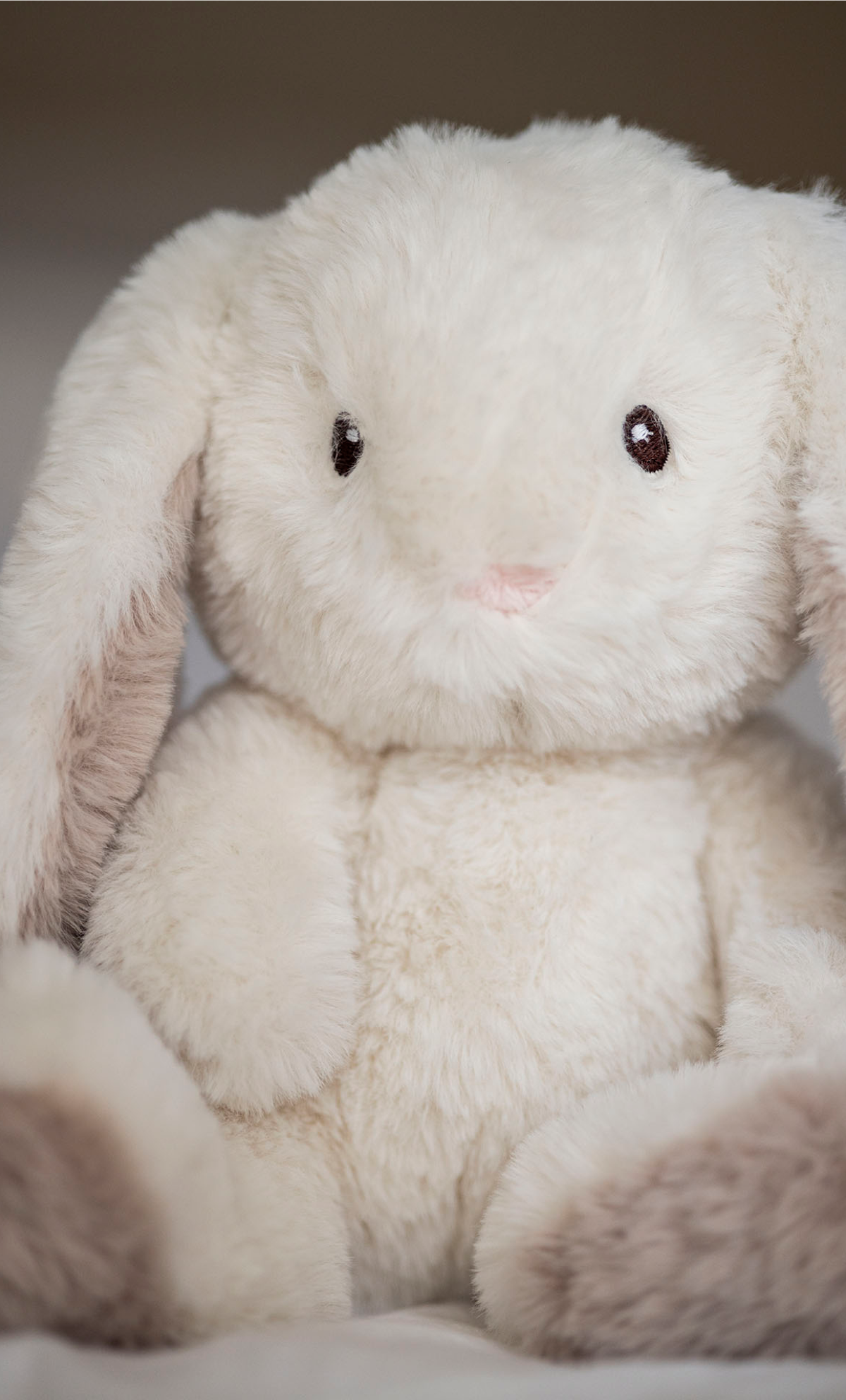  Image of files/4238_BunnyDetail_HIGH_970a4f8b-cadf-49c4-98a3-dcb687f98627.png