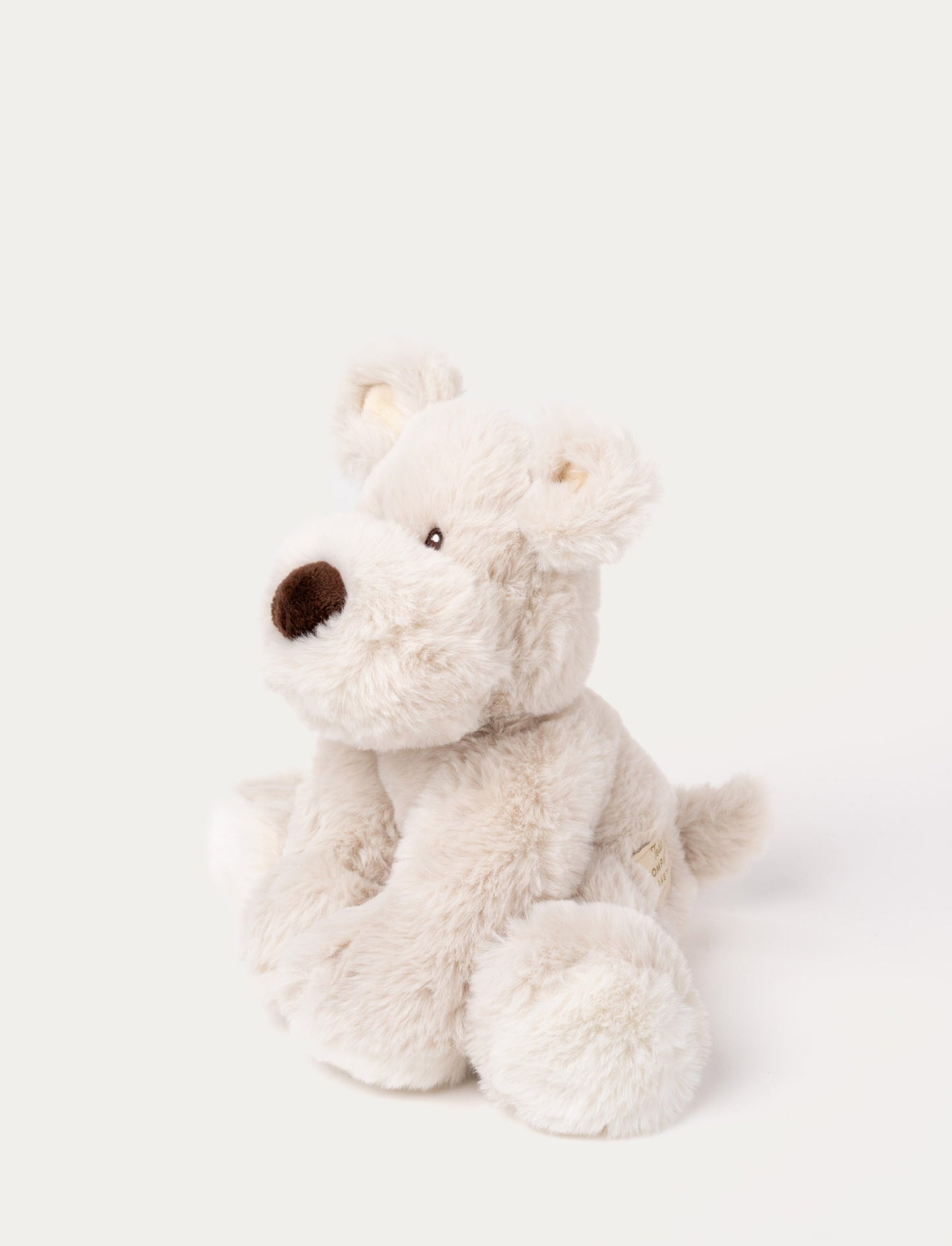 Teddy Mocca, Dog, Small