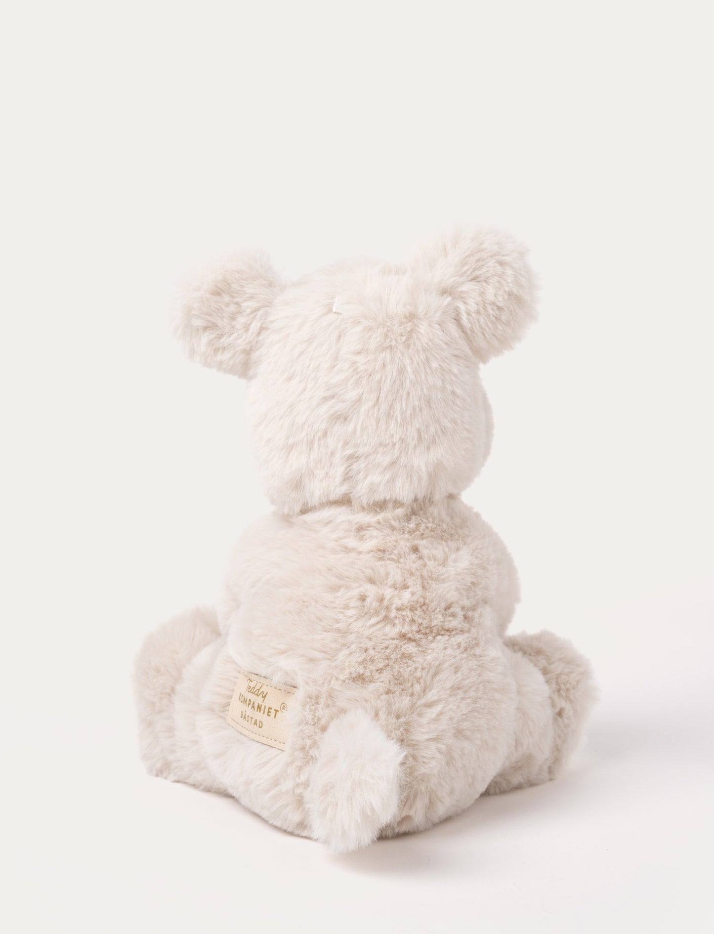 Teddy Mocca, Dog, Small