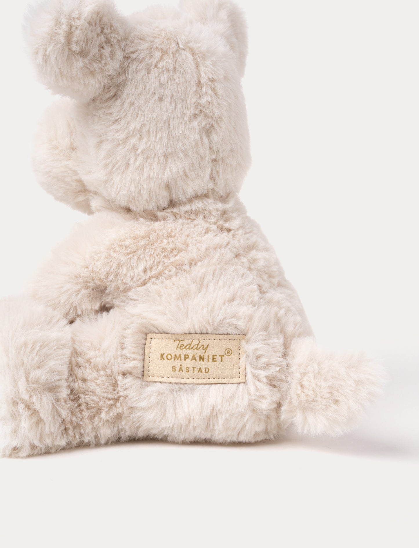 Teddy Mocca, Dog, Small