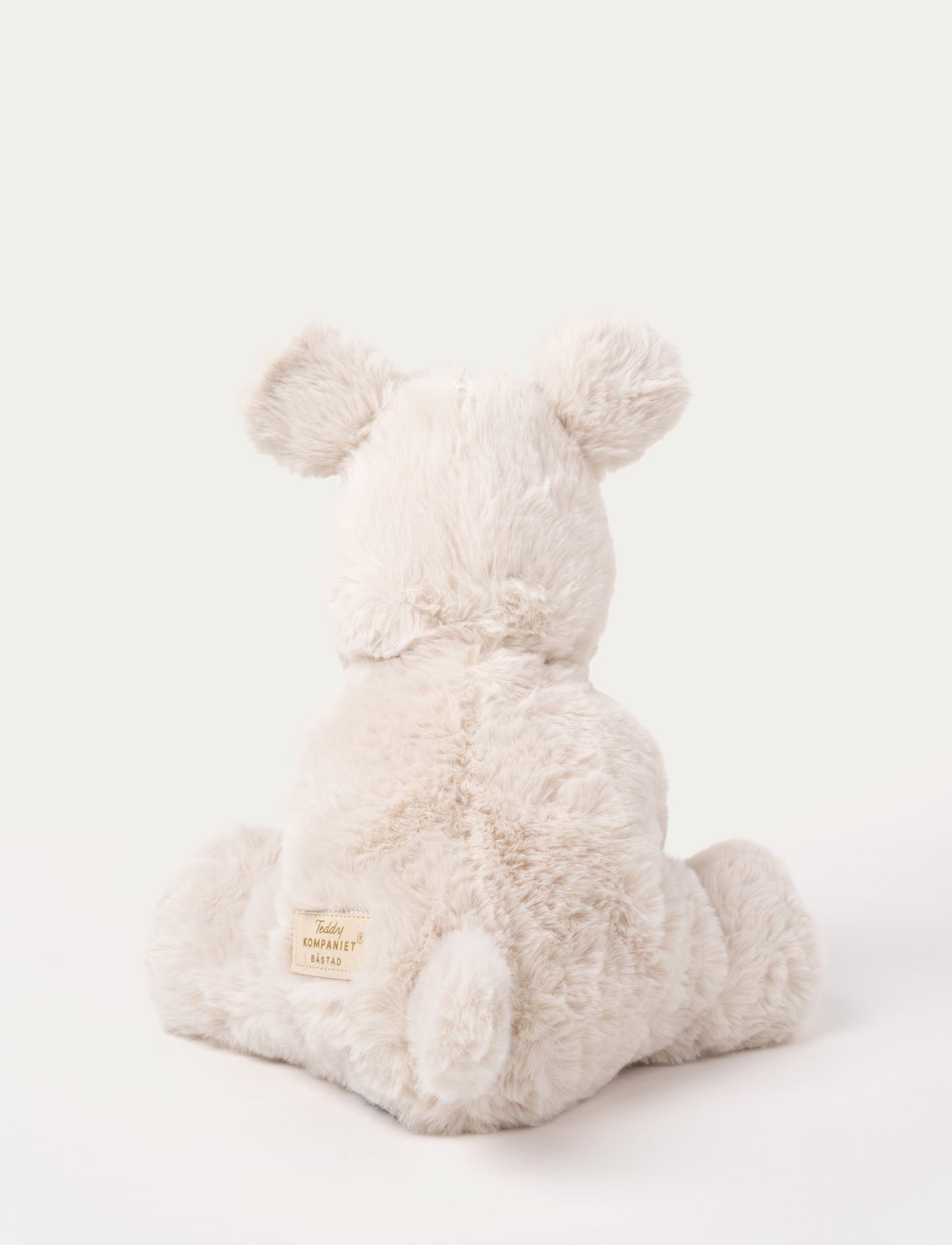 Teddy Mocca, Dog, Big