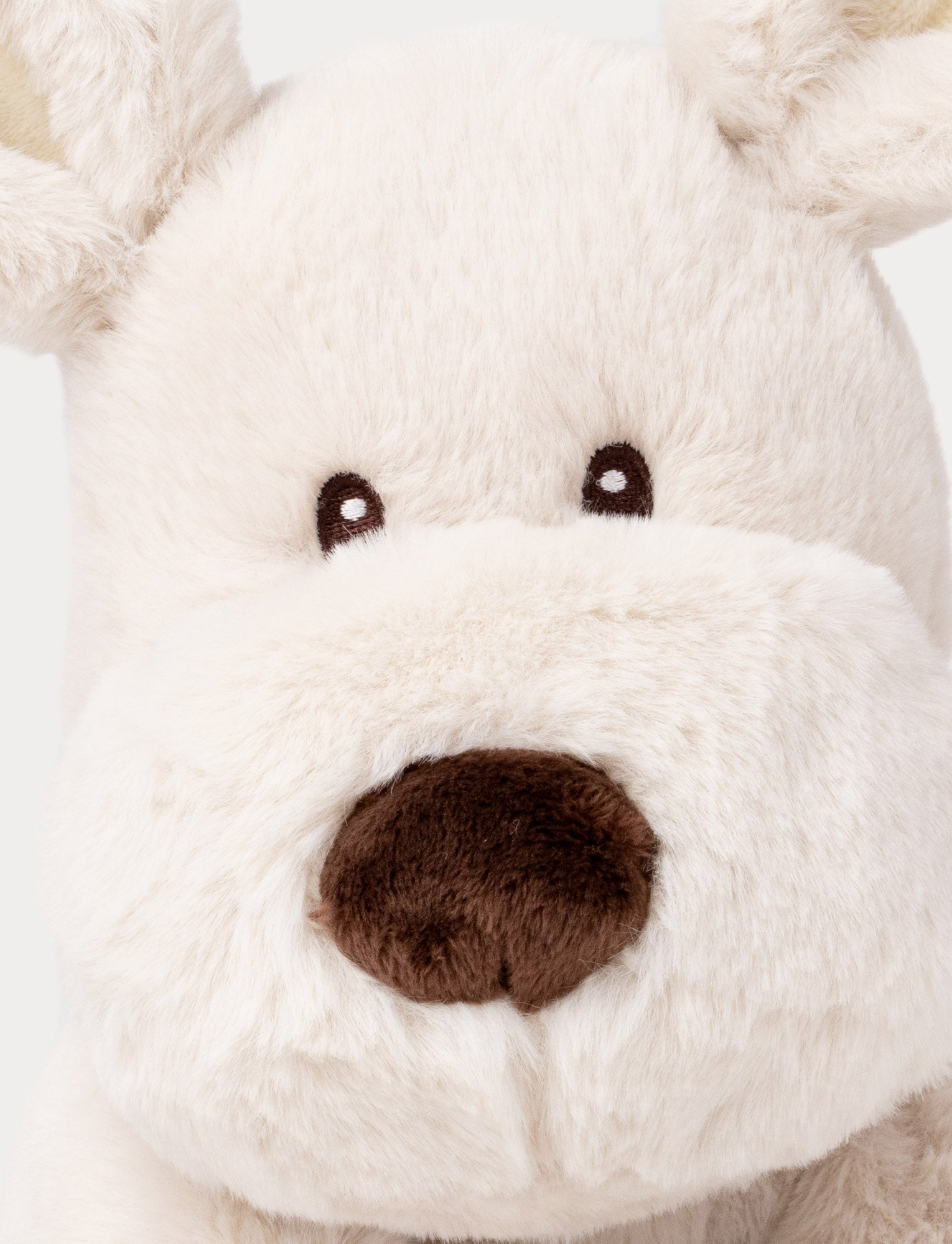Teddy Mocca Dog – Luxurious and Soft Plush Toy in Beige