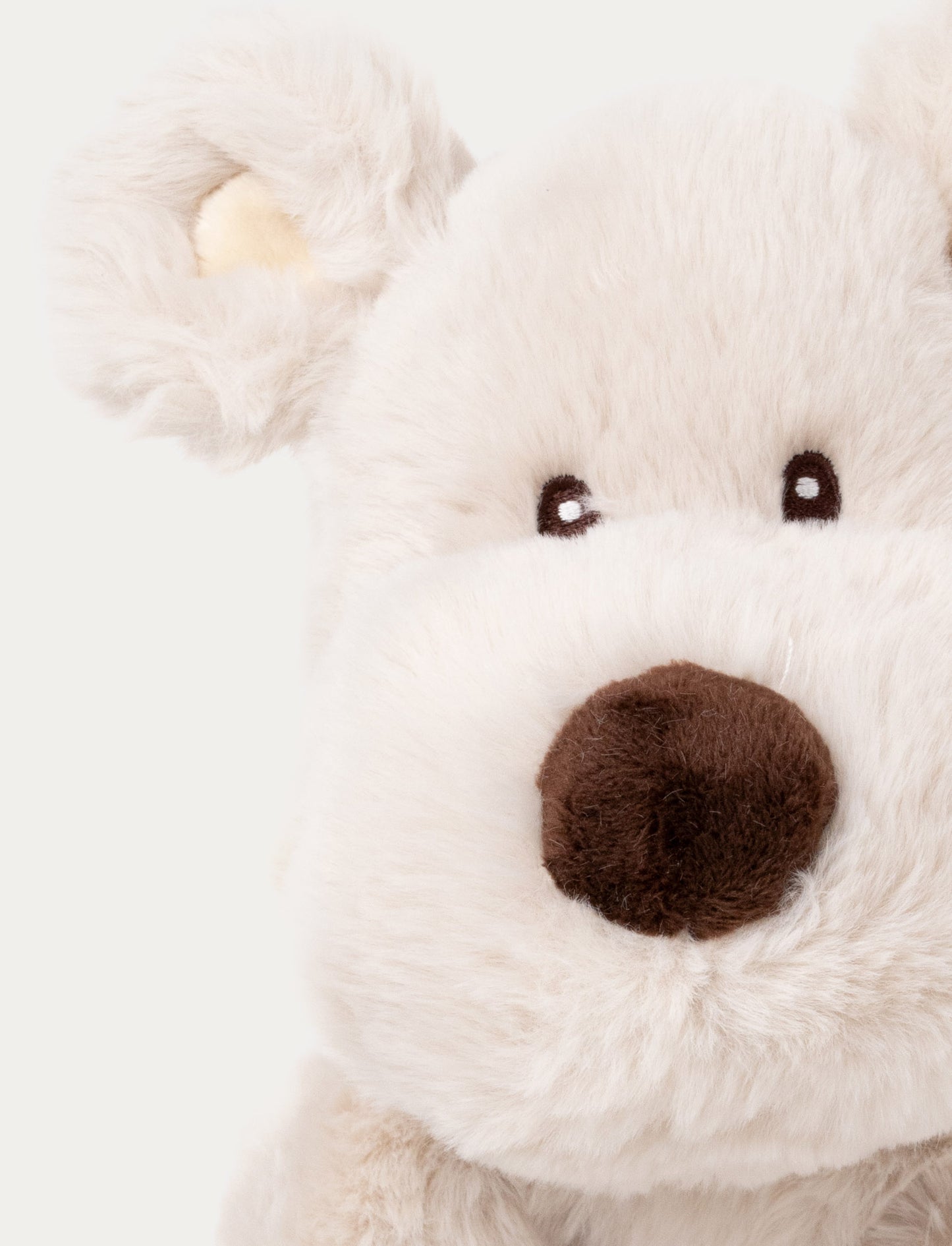 Teddy Mocca, Dog, Big