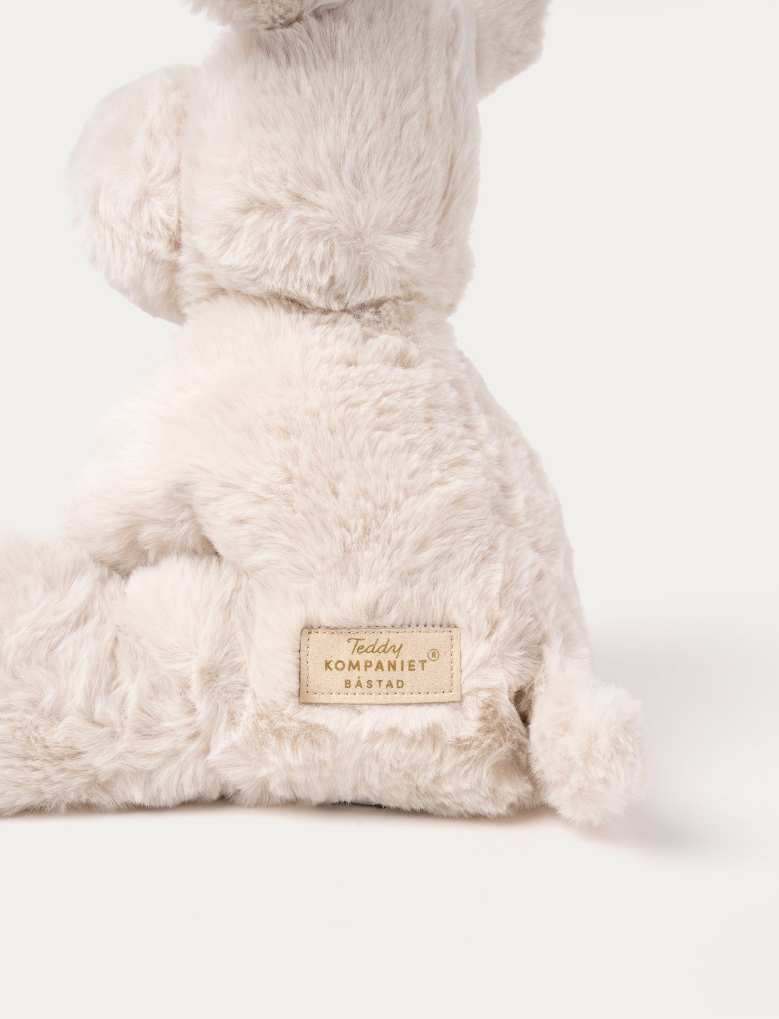 Image of Teddy Mocca, Dog, Big