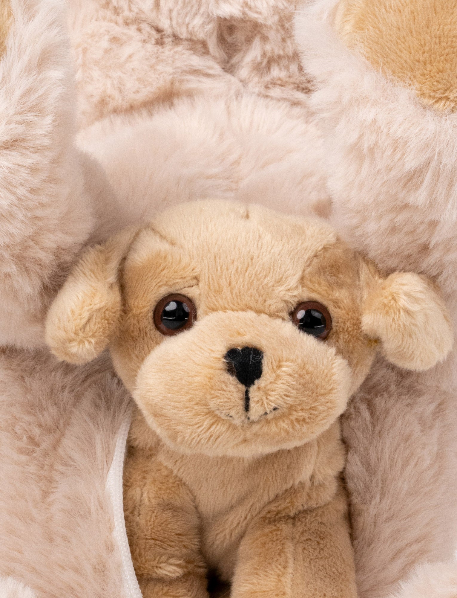  Image of Dog Tess with Puppy