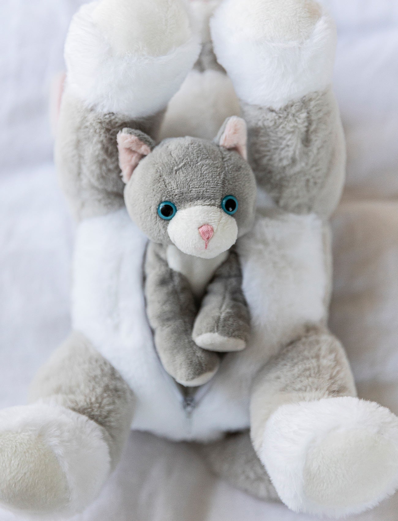 Cat Tuva with Kitten