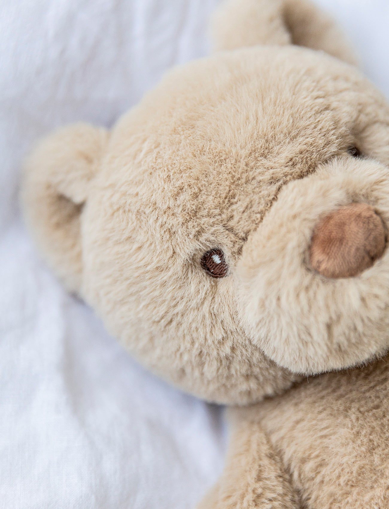 Teddy Care, Weighted Plush Toy, Sven, Teddy Bear