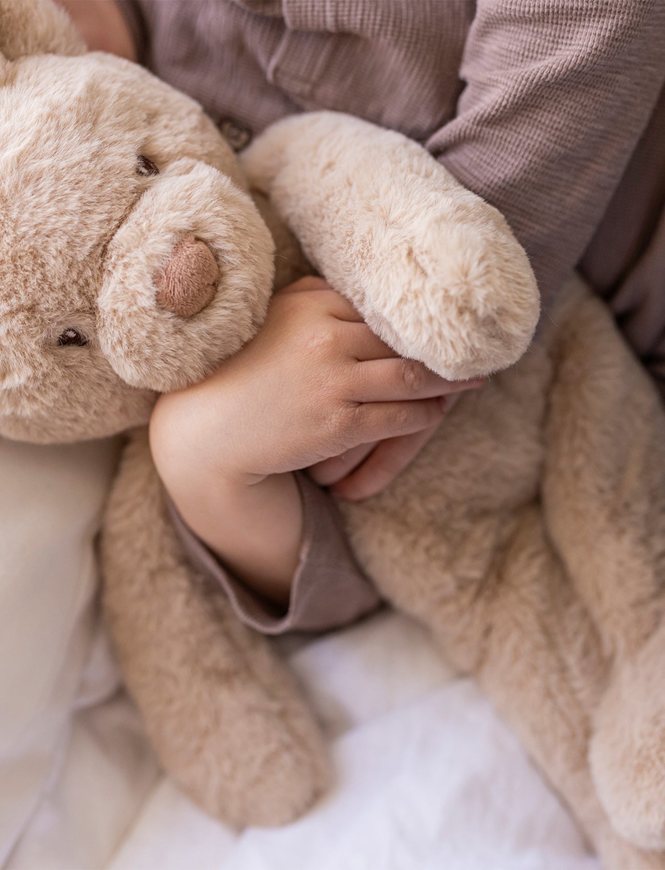 Image of Teddy Care, Weighted Plush Toy, Sven, Teddy Bear