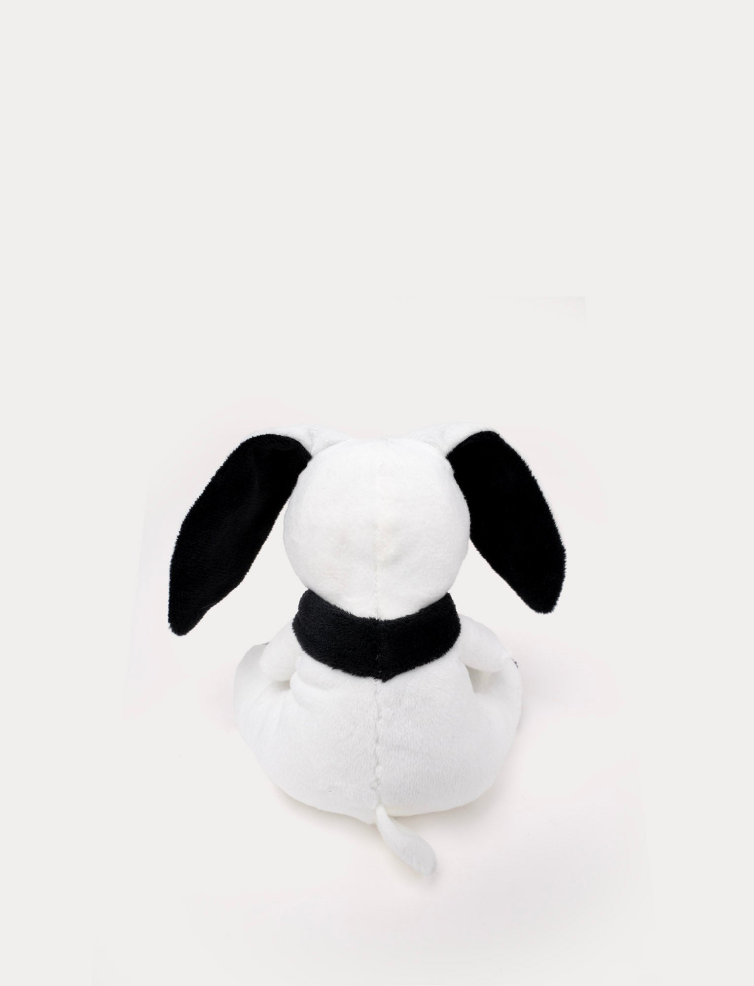  Image of Glow-in-the-Dark, Bunny, Halloween