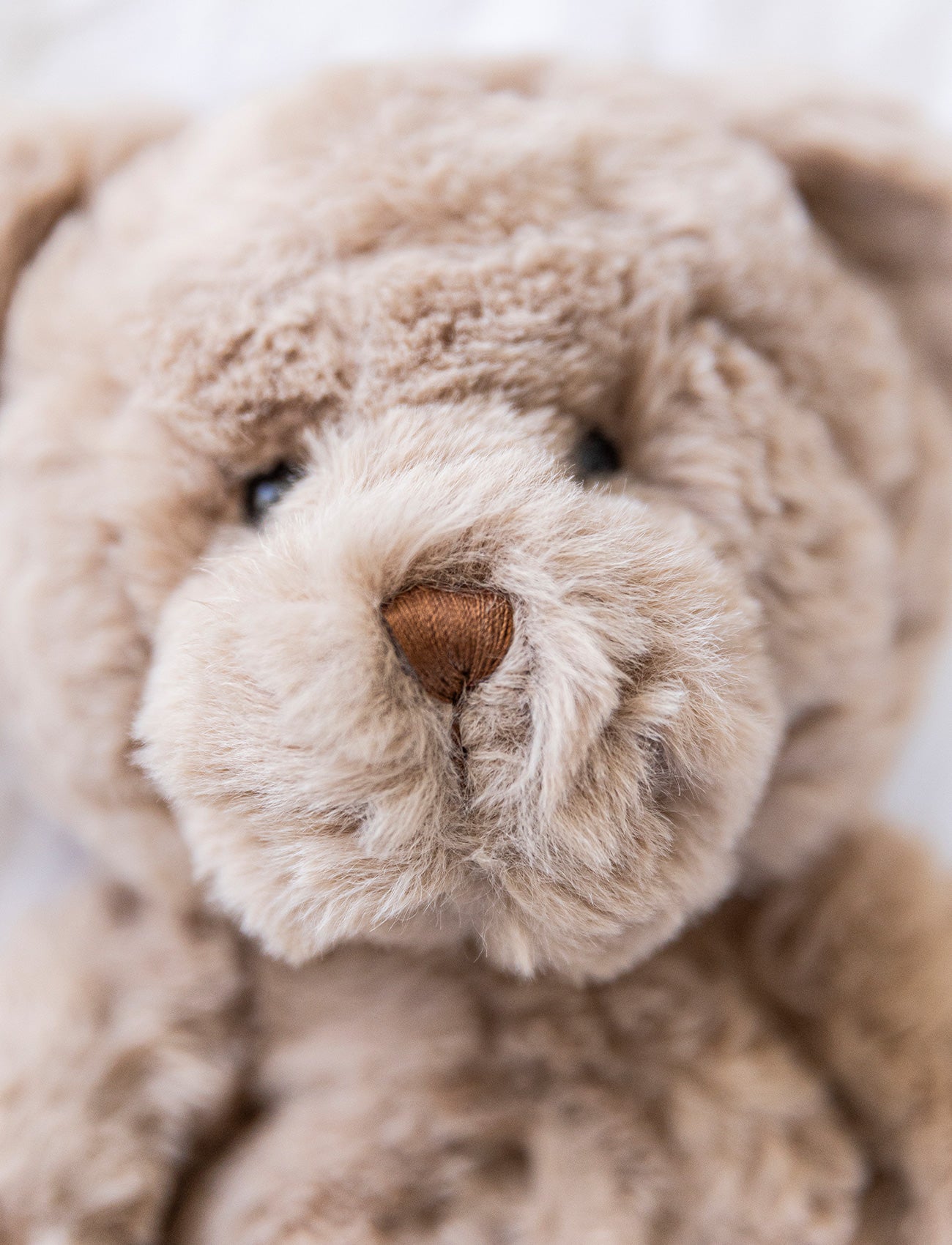 Sture, Teddy Bear