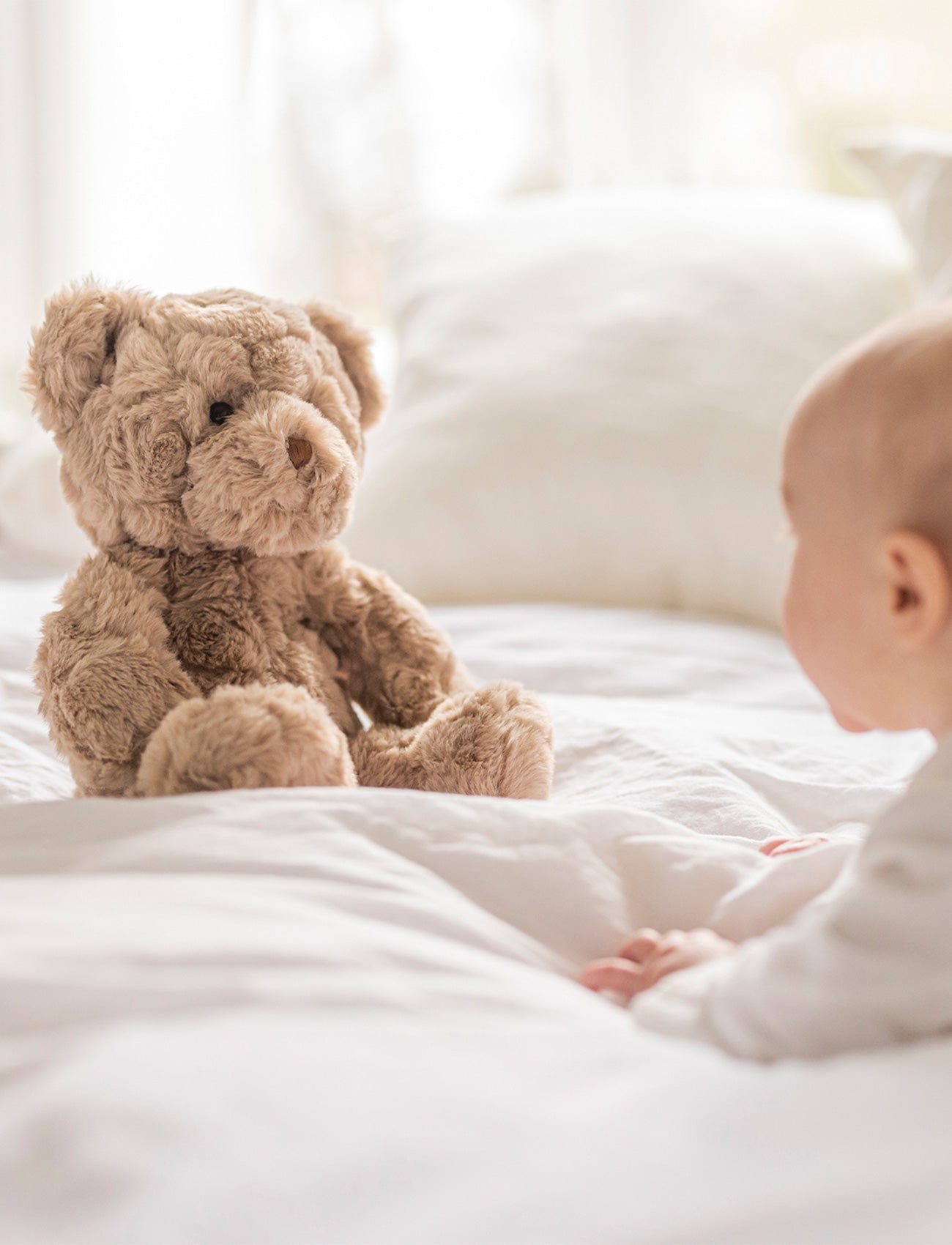 Sture, Teddy Bear