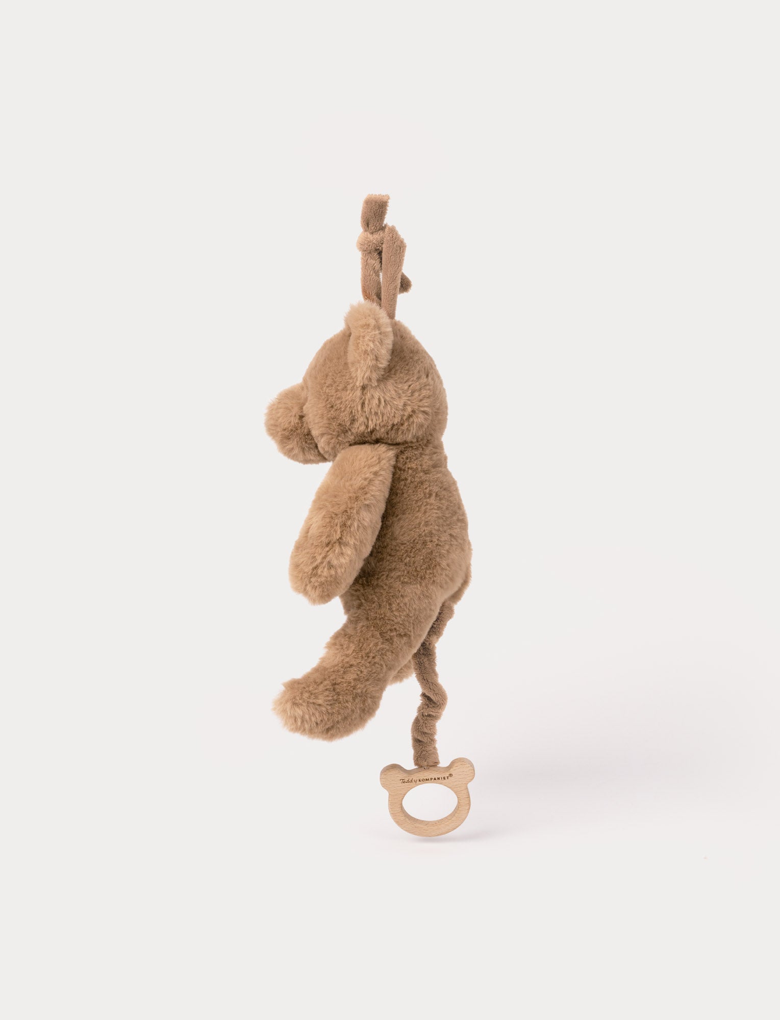  Image of Teddy, Music Box, Teddy Bear