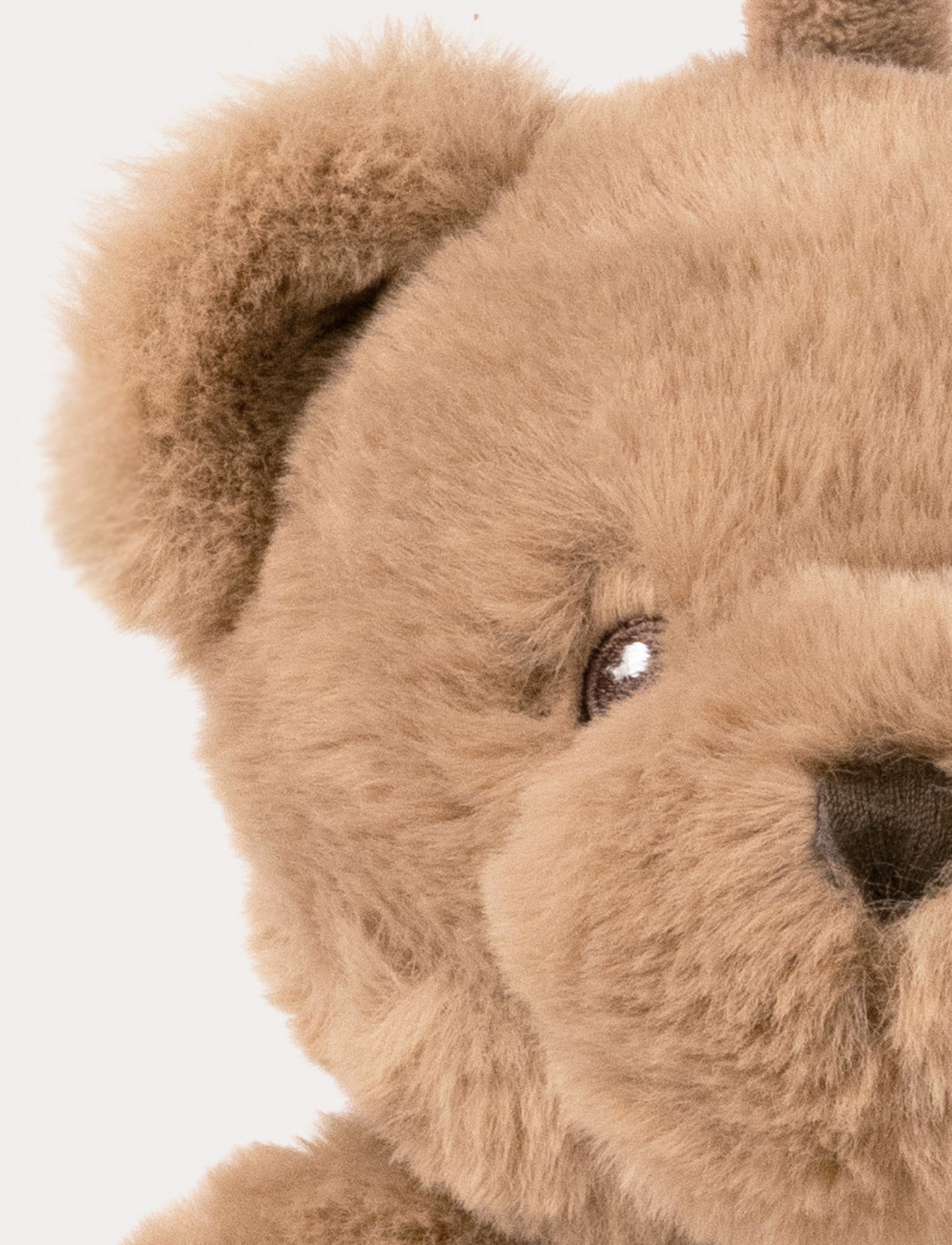 Teddy, Music Box, Teddy Bear
