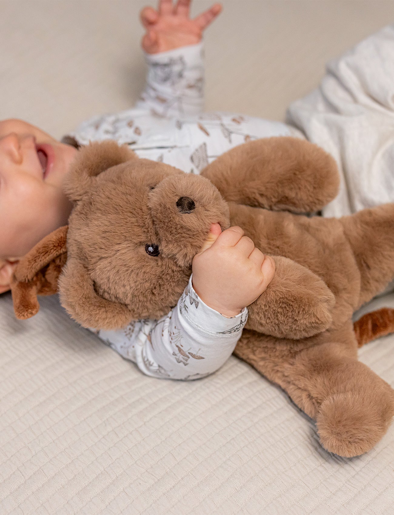 Teddy, Music Box, Teddy Bear
