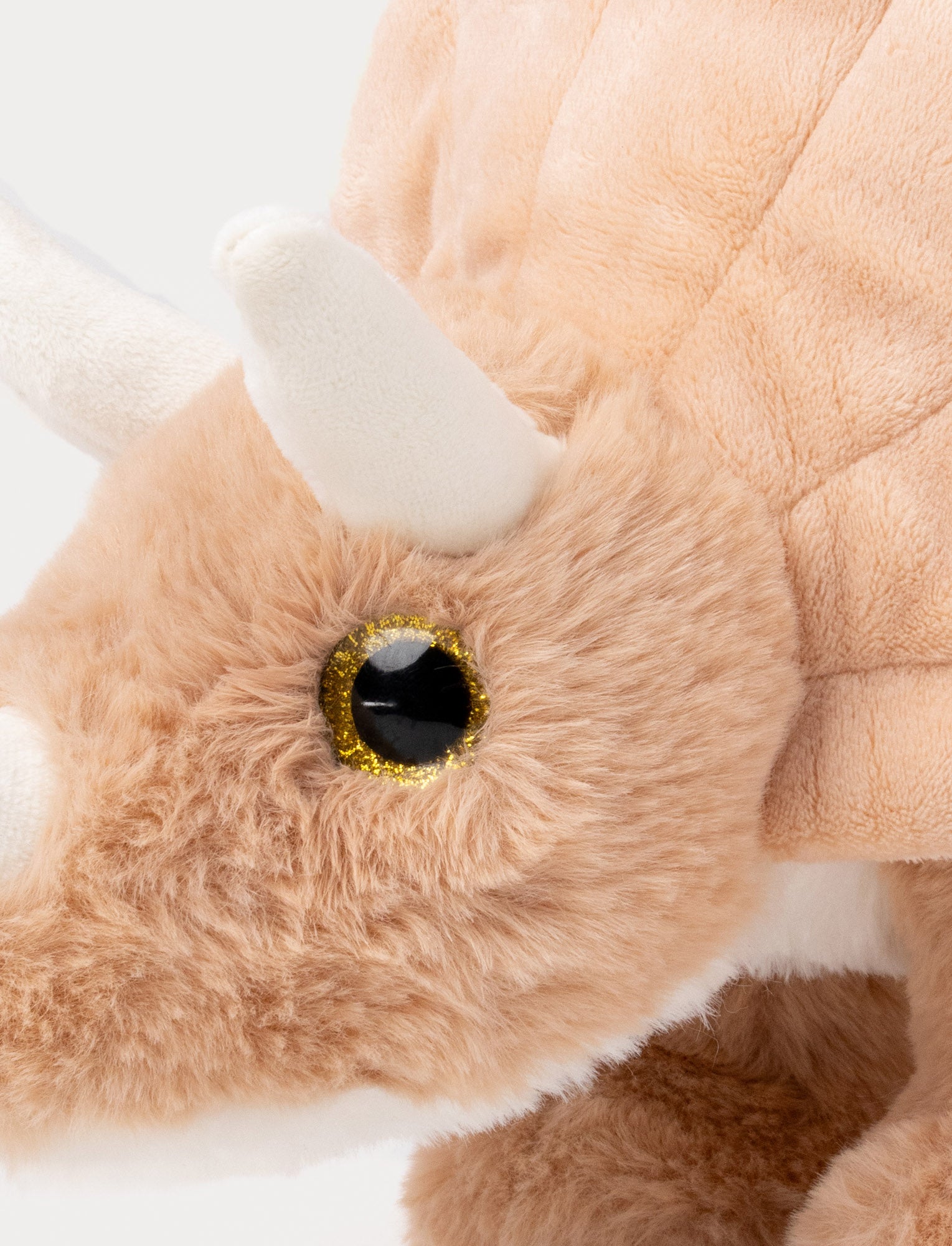  Image of Dino, Triceratops, Big