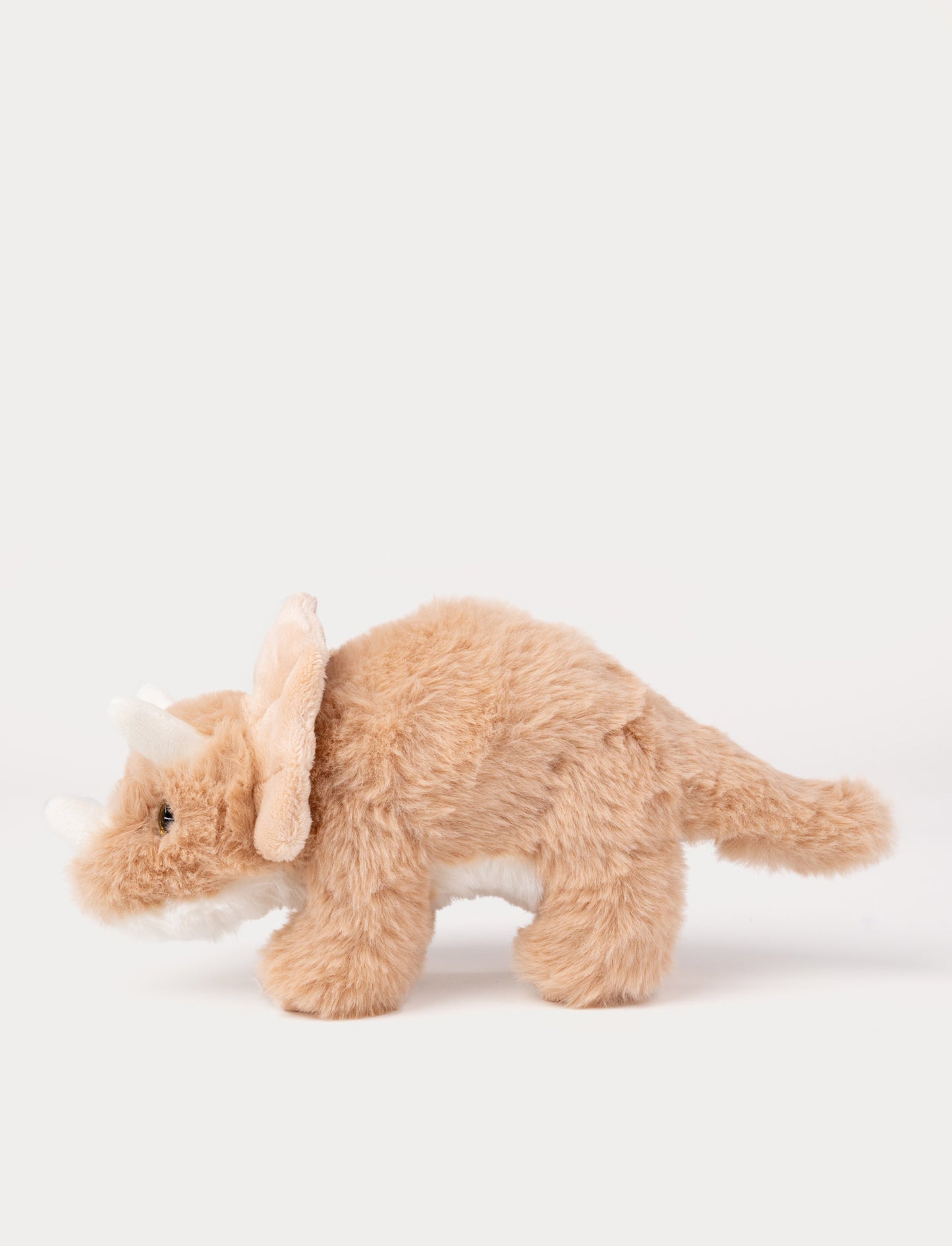 Dino, Triceratops, Small
