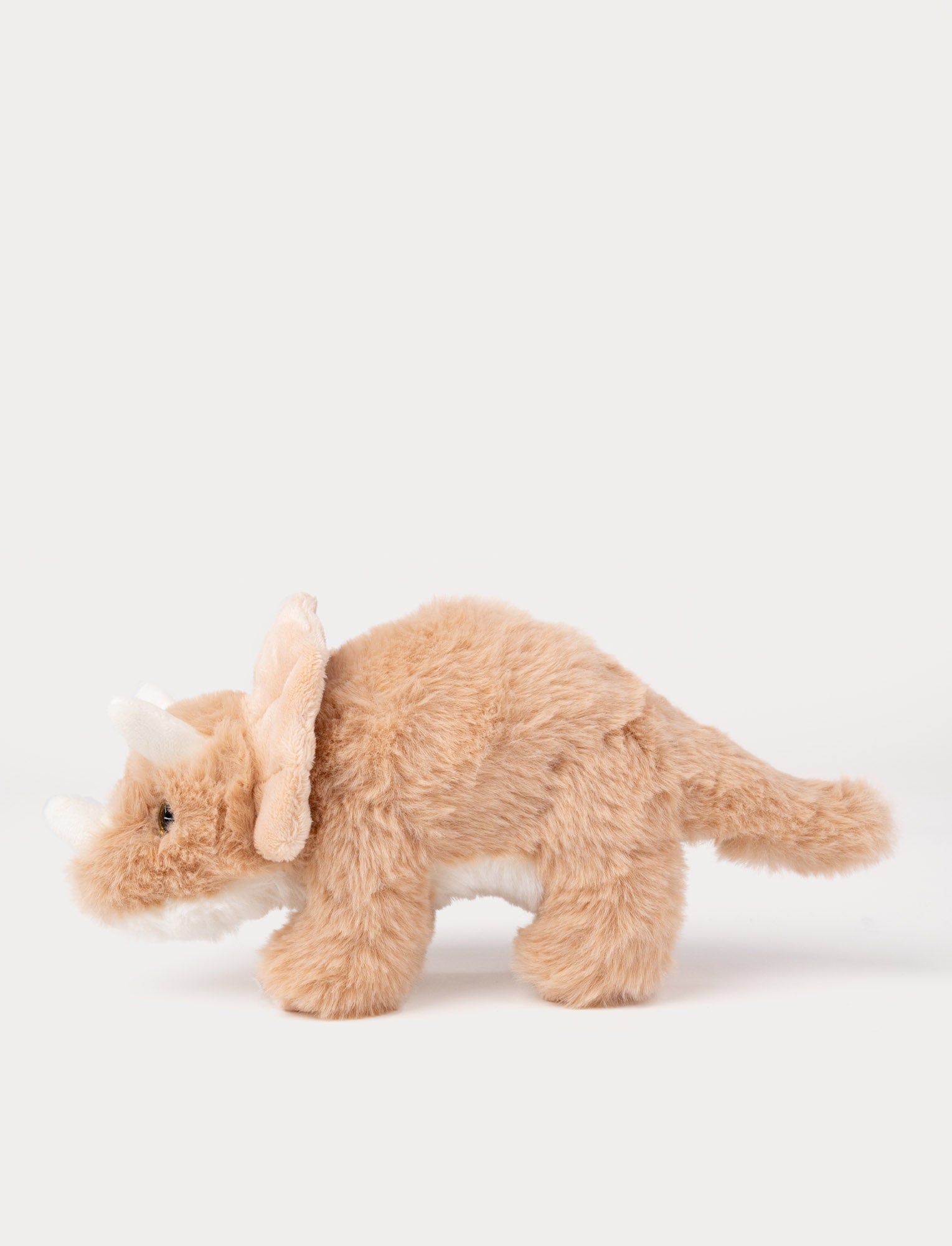  Image of Dino, Triceratops, Small