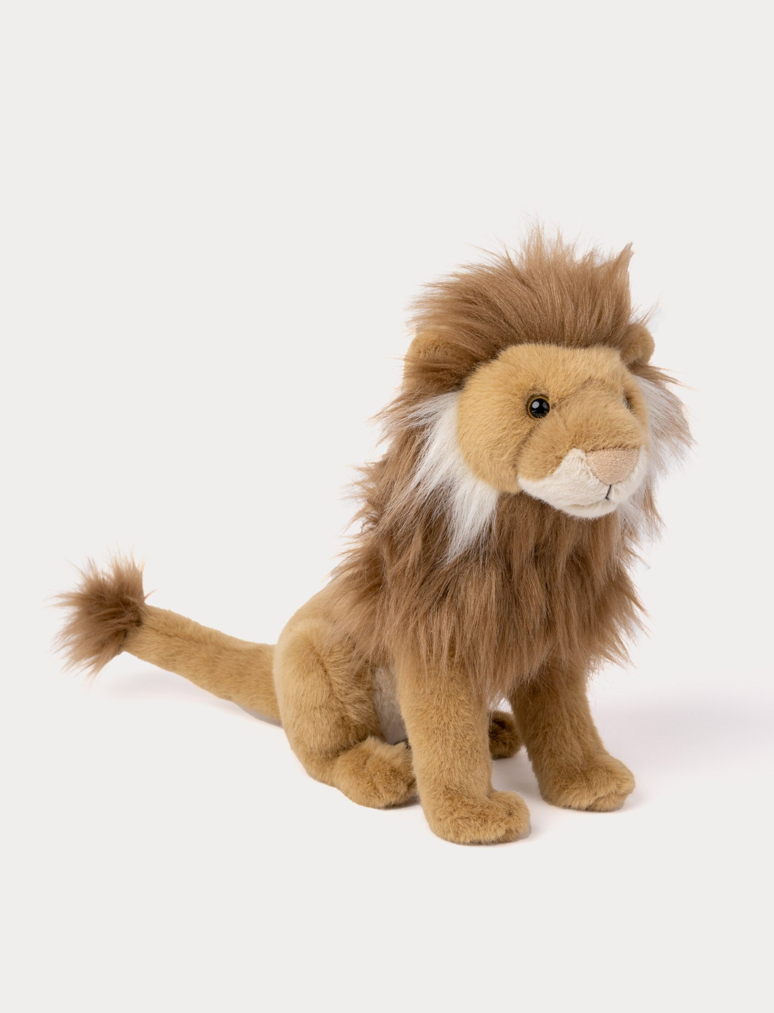 Image of Lifelike Lion