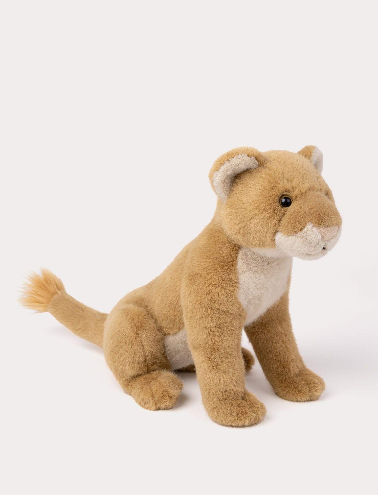  Image of Lifelike Lioness