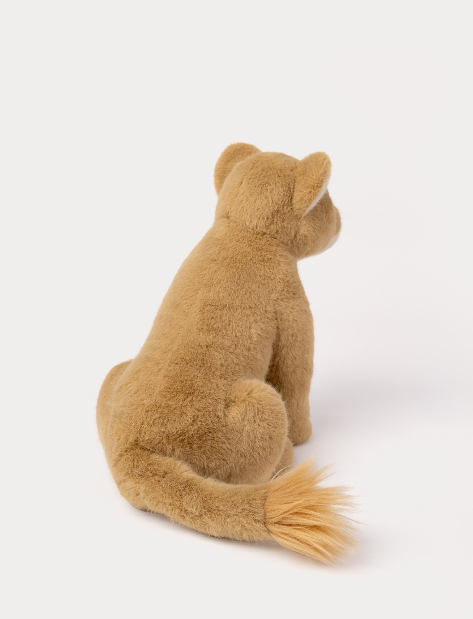  Image of Lifelike Lioness