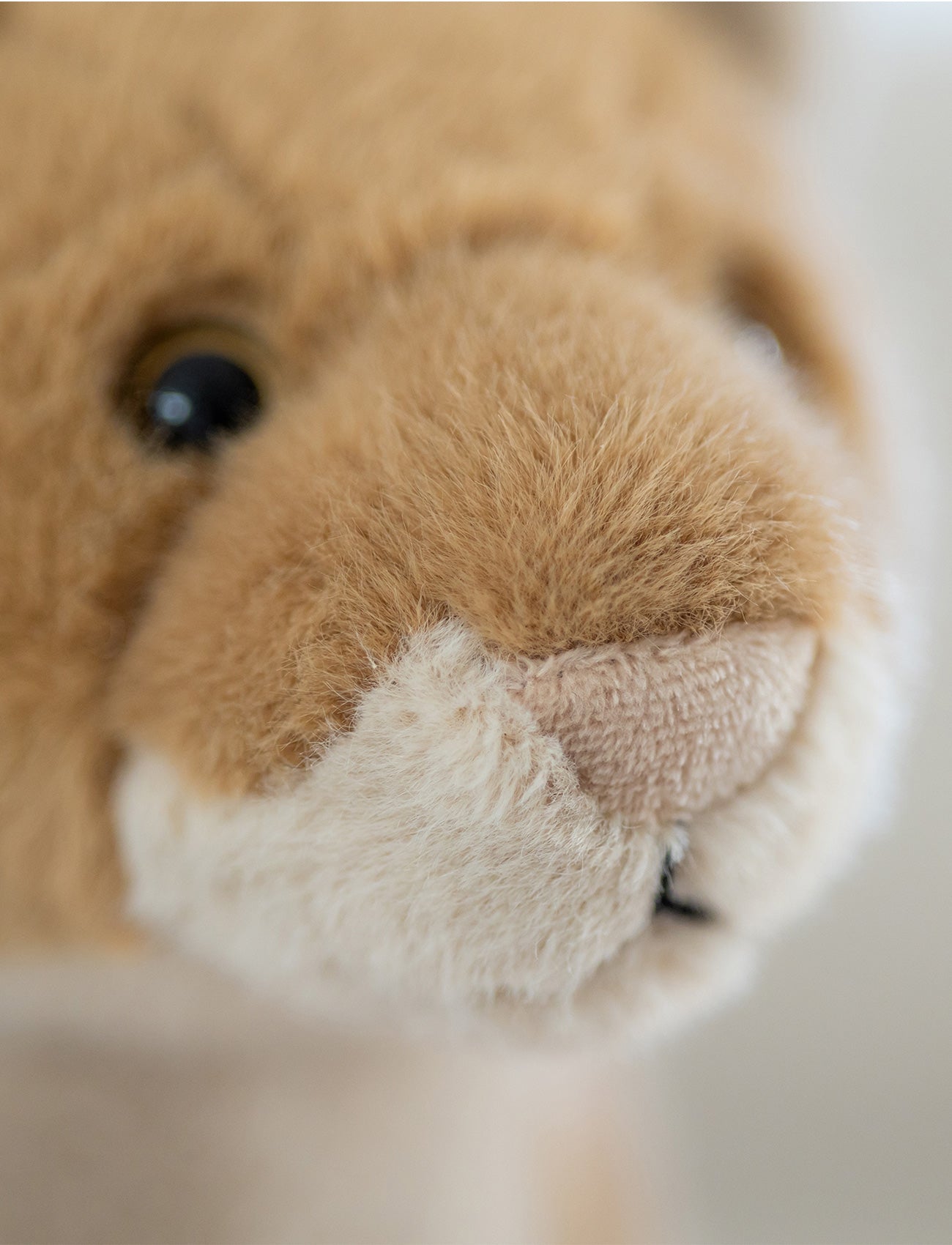 Lifelike Lioness
