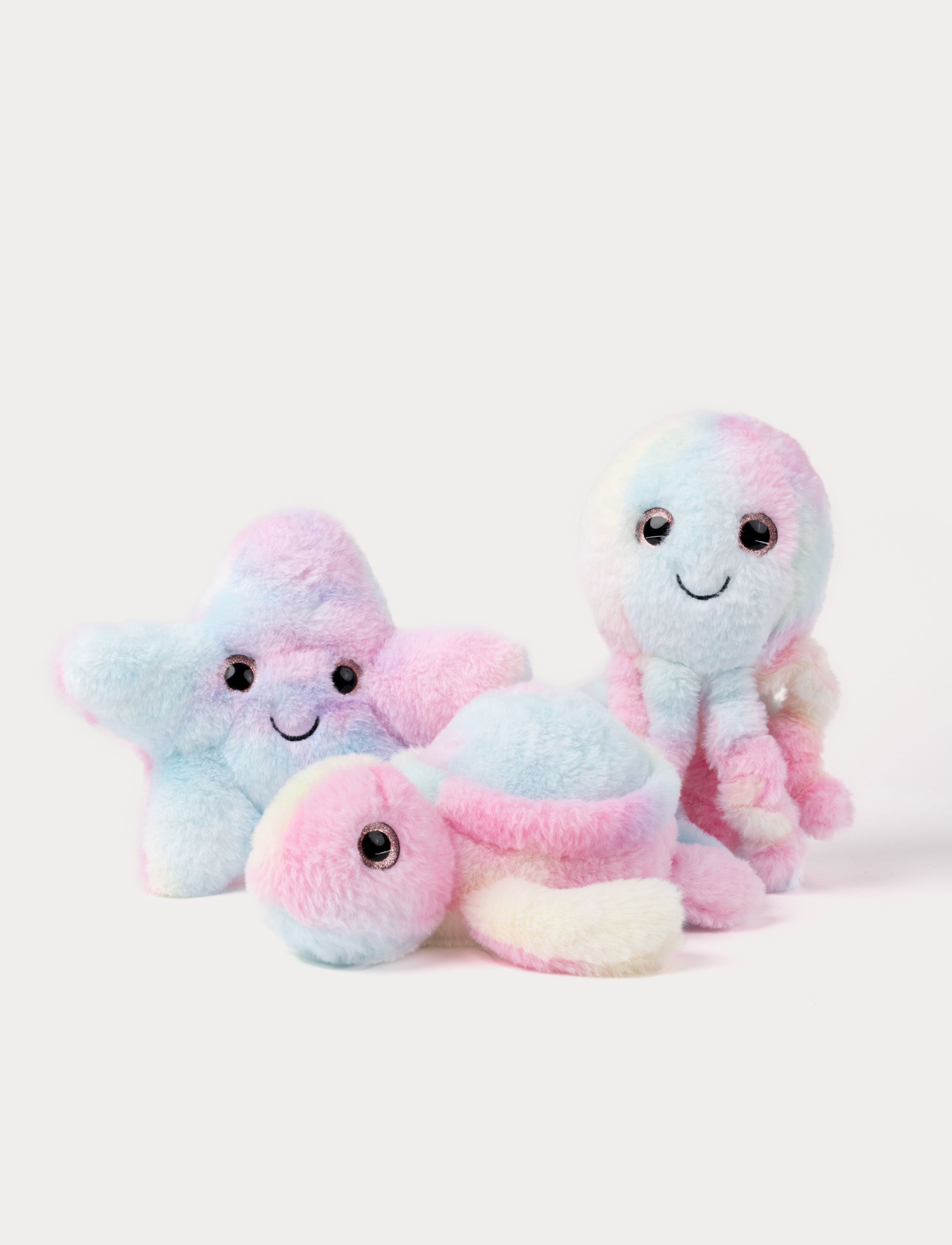  Image of Starfish, Rainbow-colored