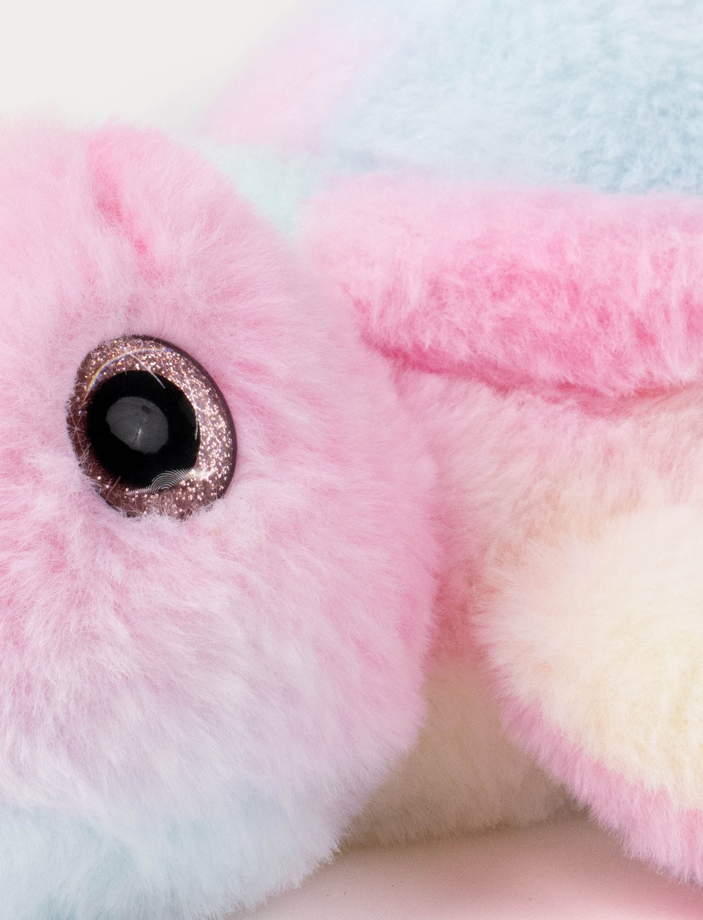 Turtle, Rainbow-colored