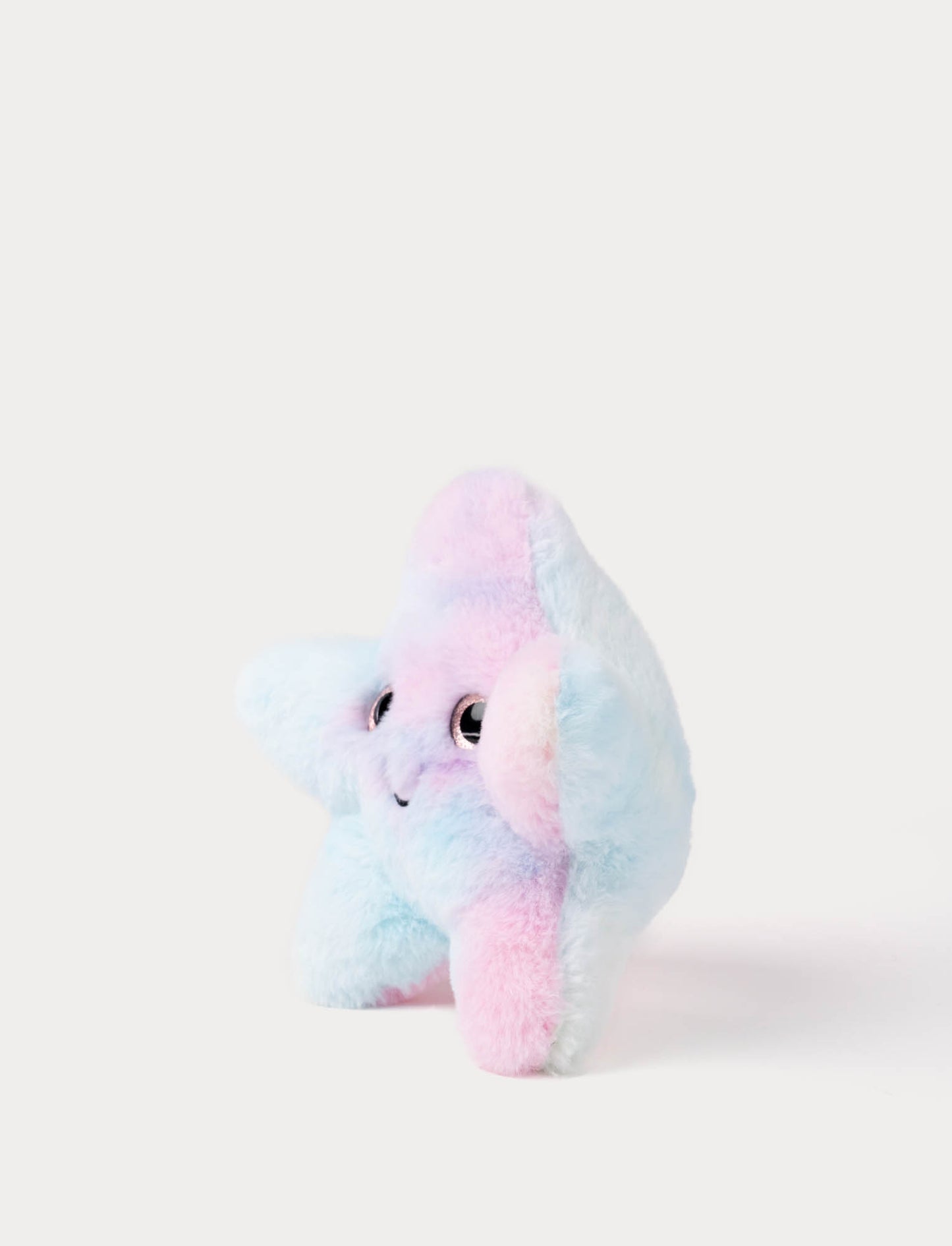 Starfish, Rainbow-colored