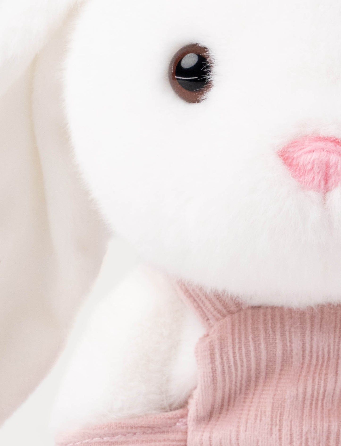 Kanin med snickarbyxor