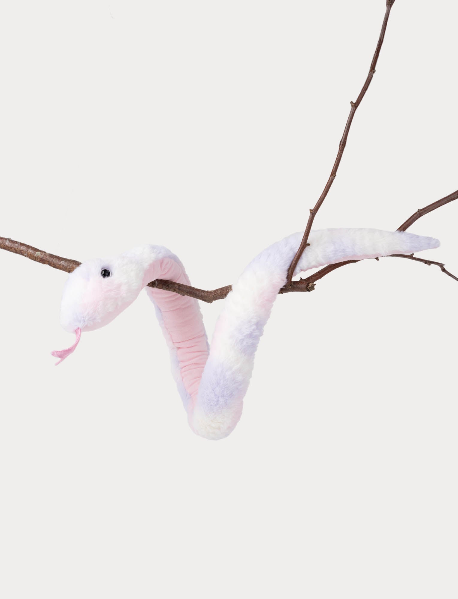  Image of Snake, Rainbow-colored