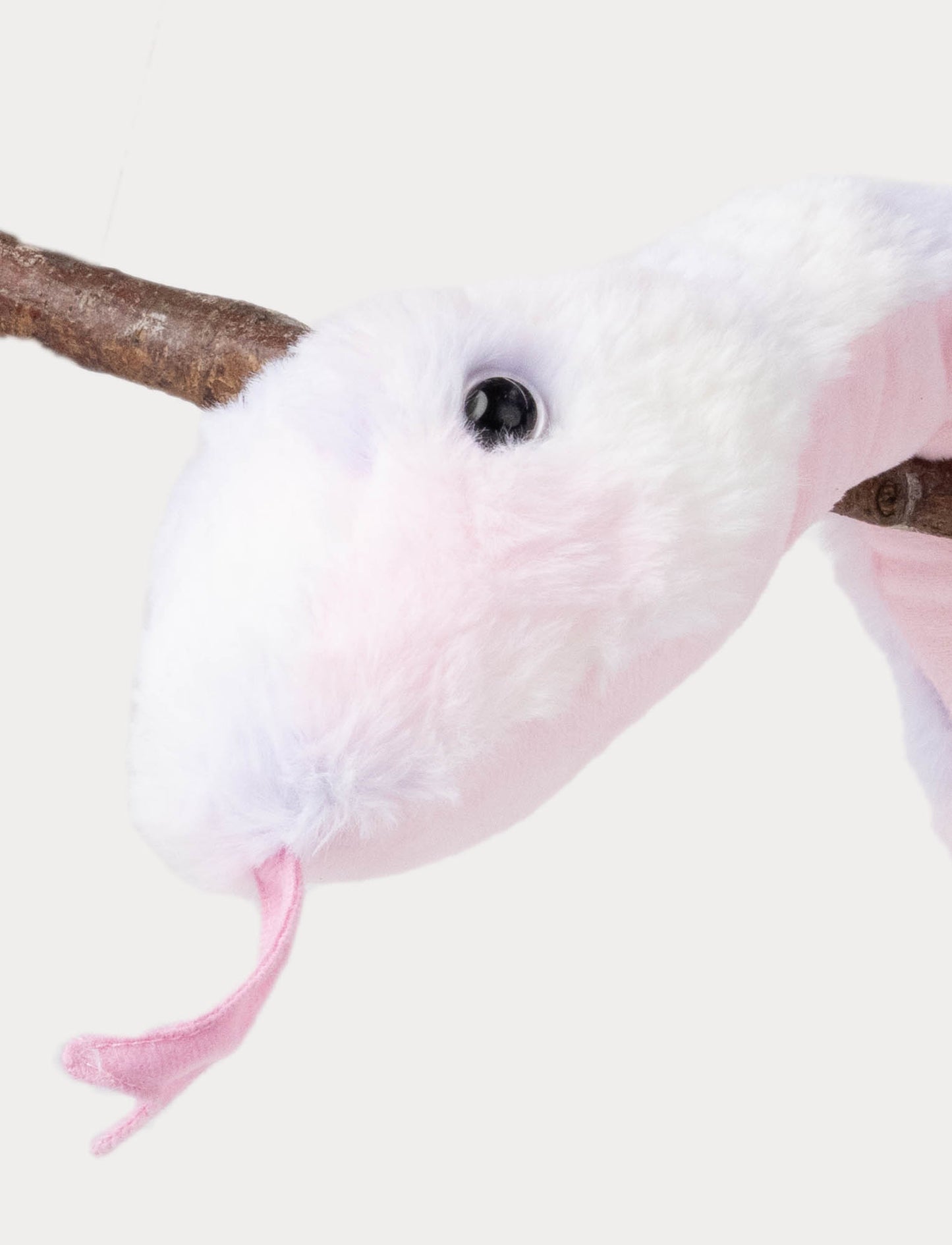 Snake, Rainbow-colored