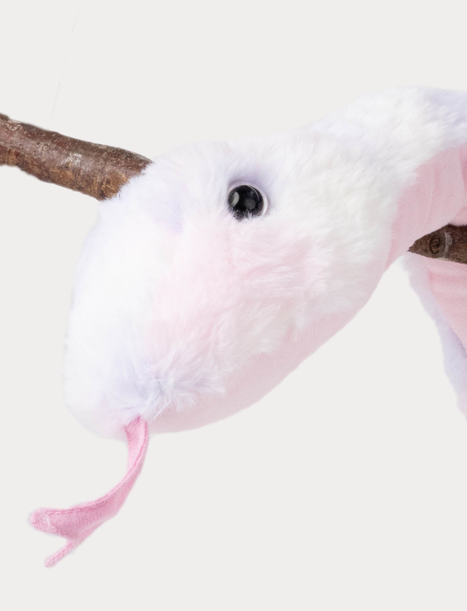  Image of Snake, Rainbow-colored