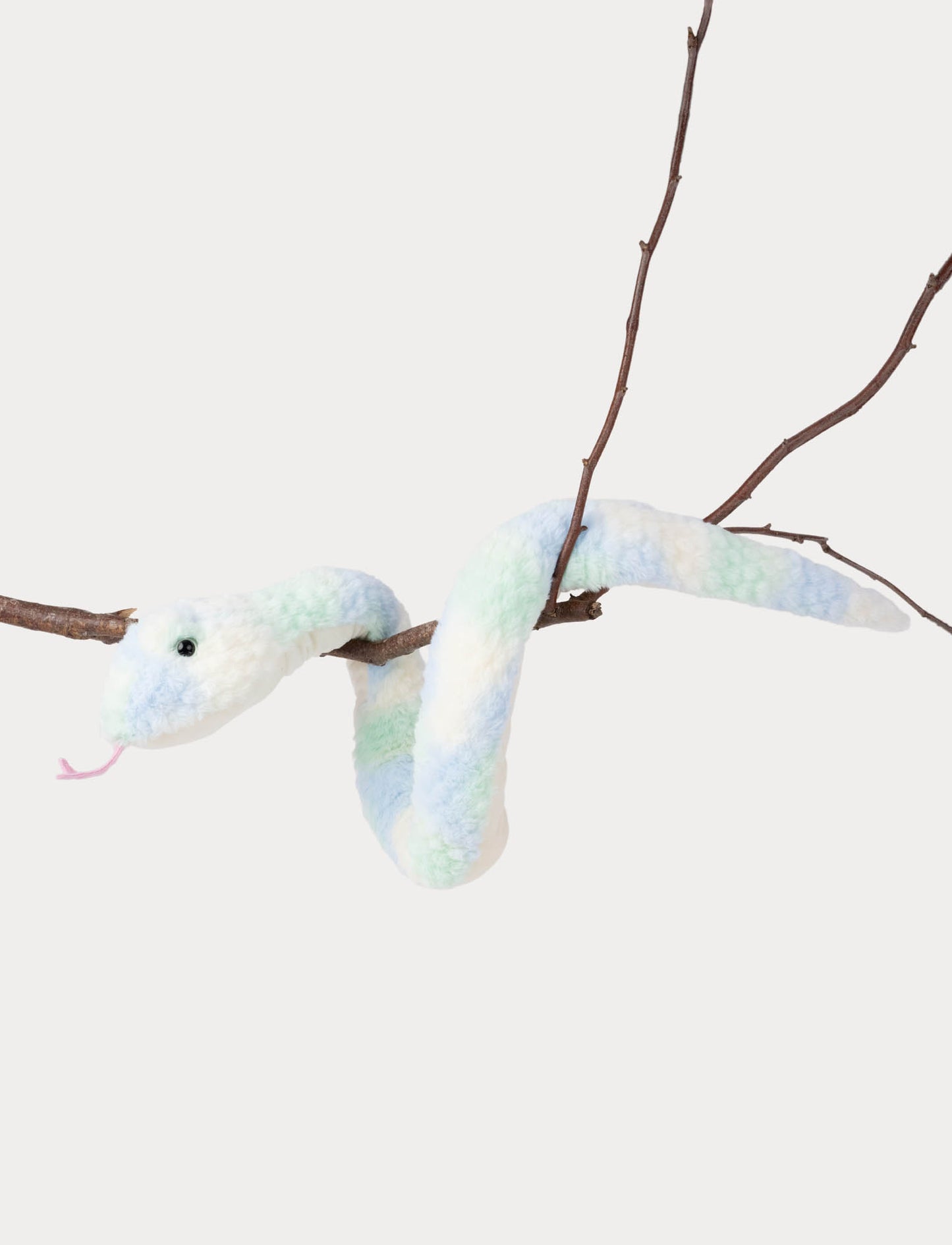 Snake, Rainbow-colored