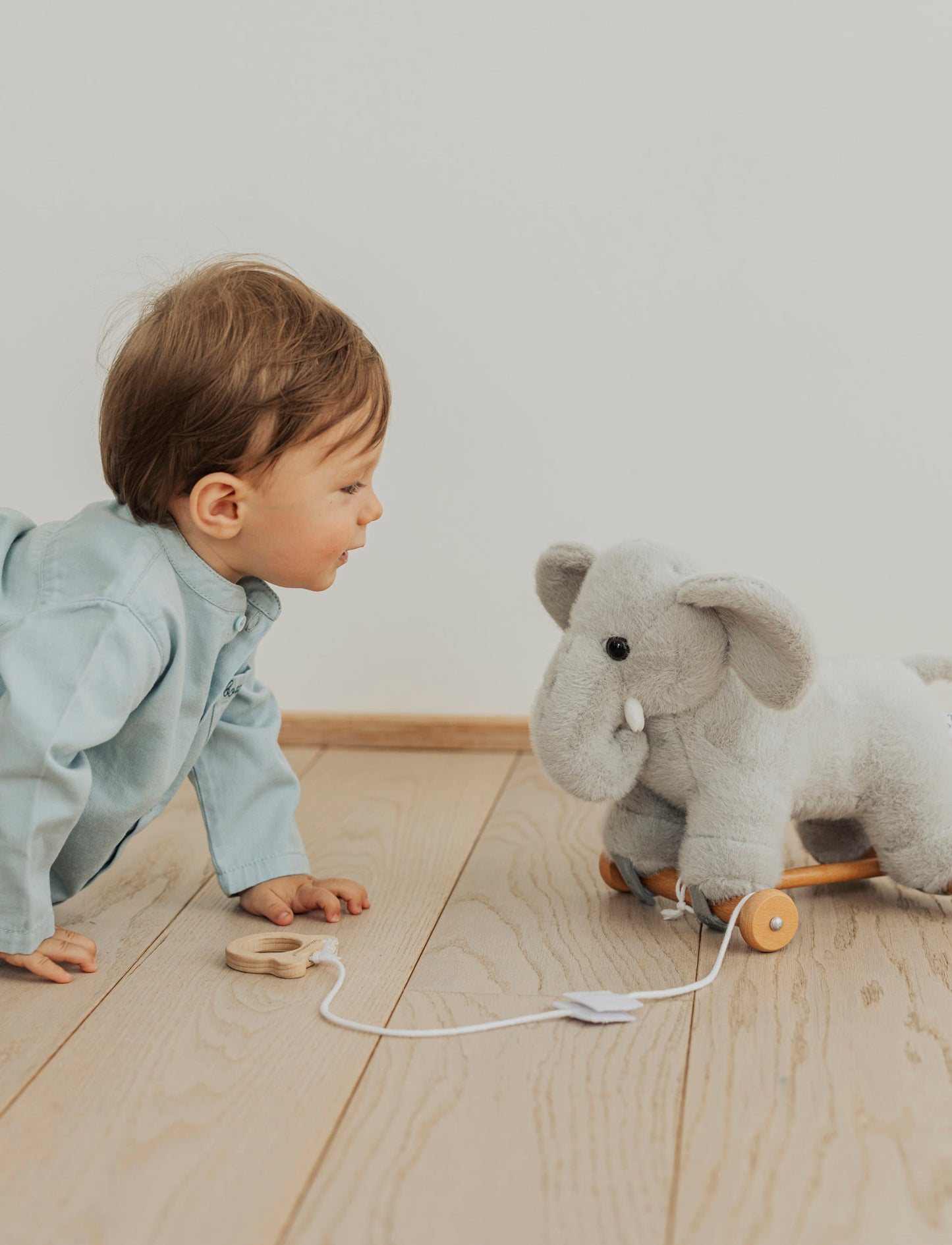 Dragdjur, Elefant