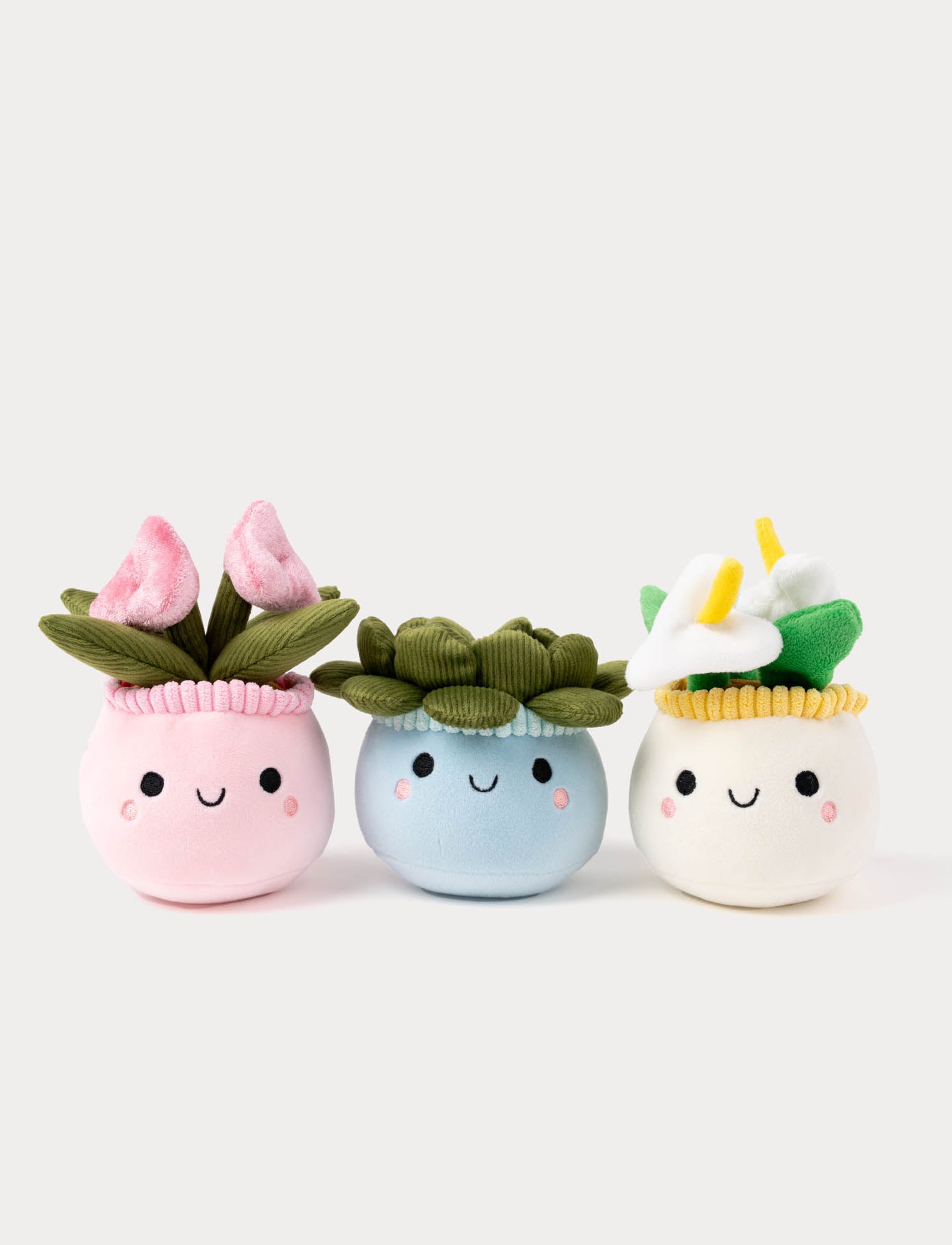  Image of Three plush plant toys with smiling faces on a white background