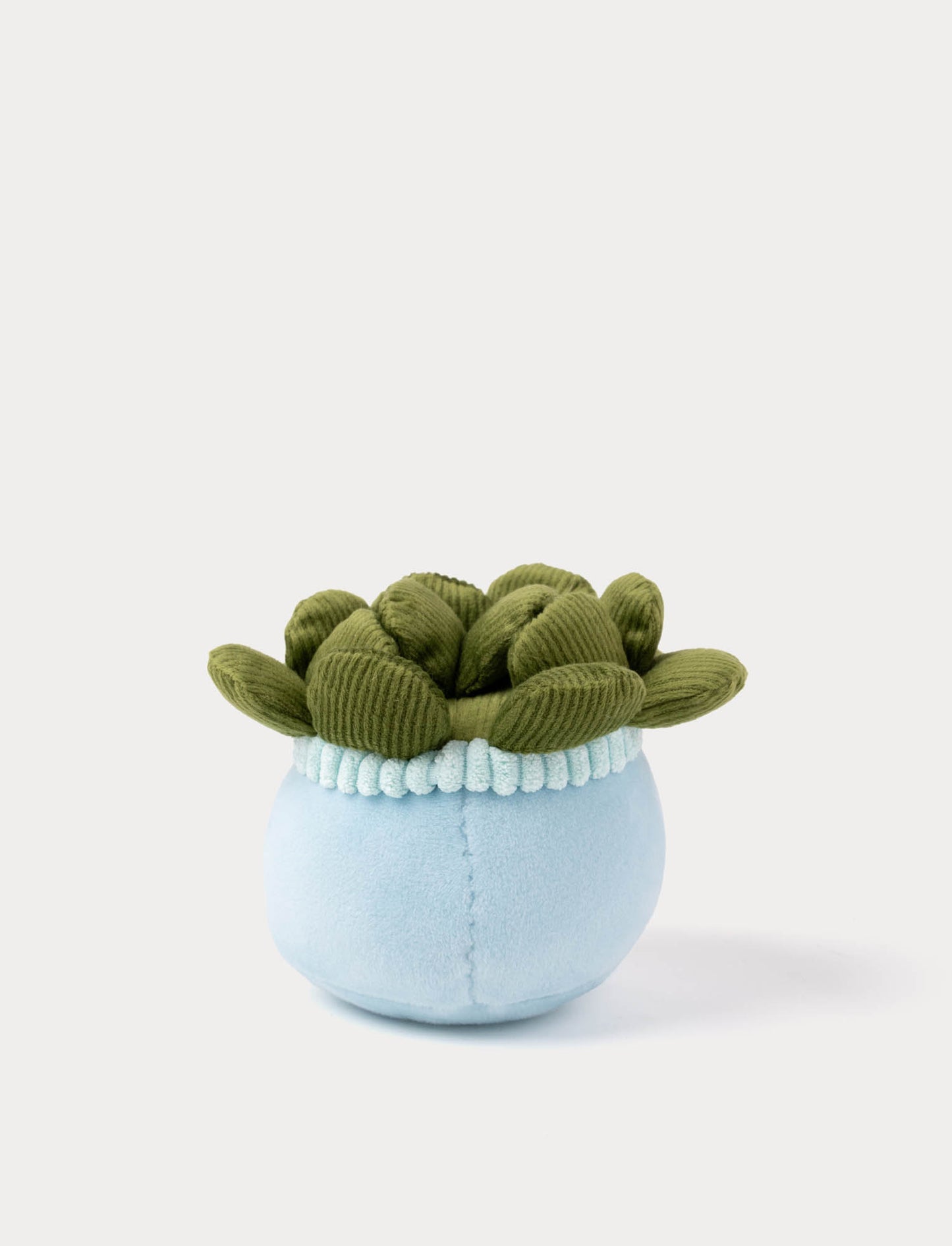 Teddy Flowers, Gift Flower