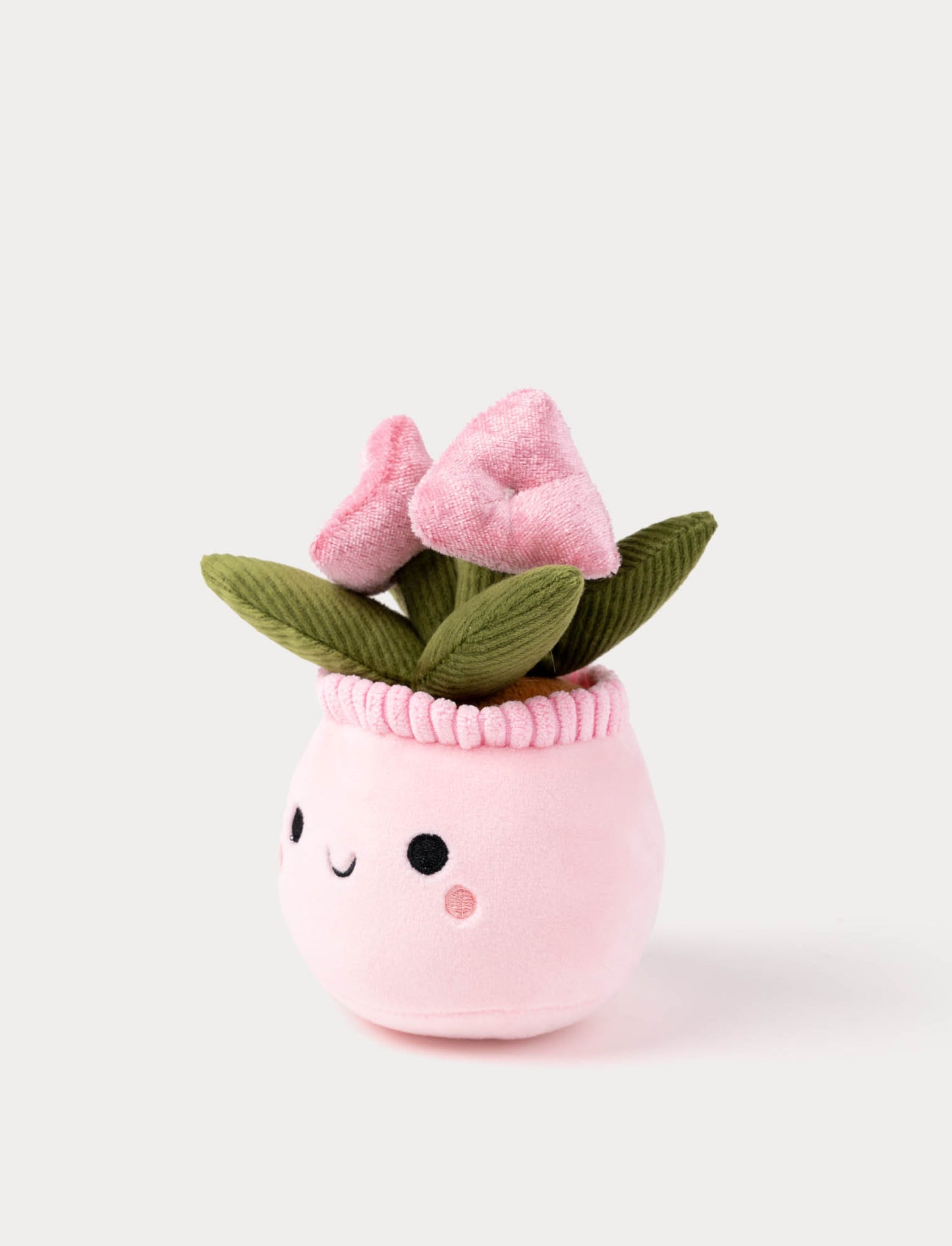 Teddy Flowers, Gift Flower