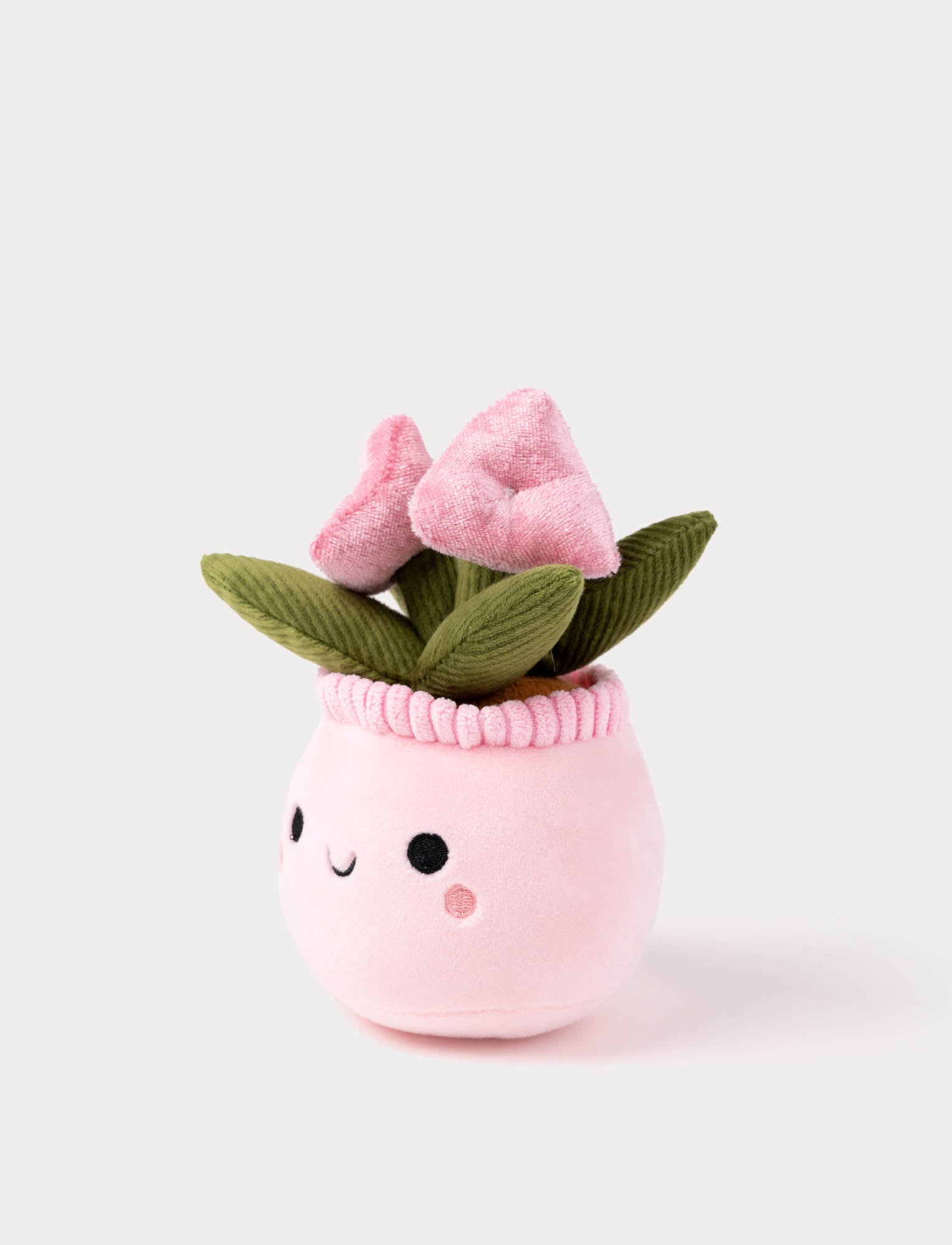  Image of Teddy Flowers, Gift Flower