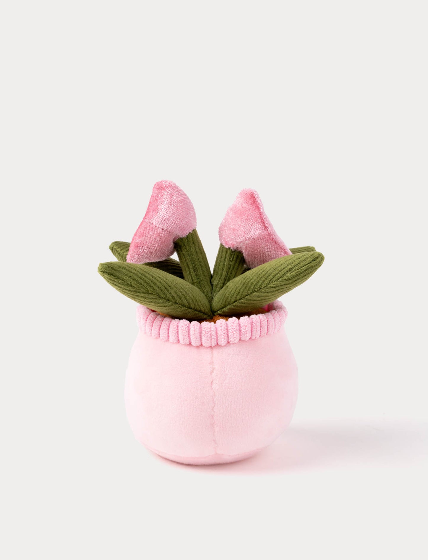 Teddy Flowers, Gift Flower