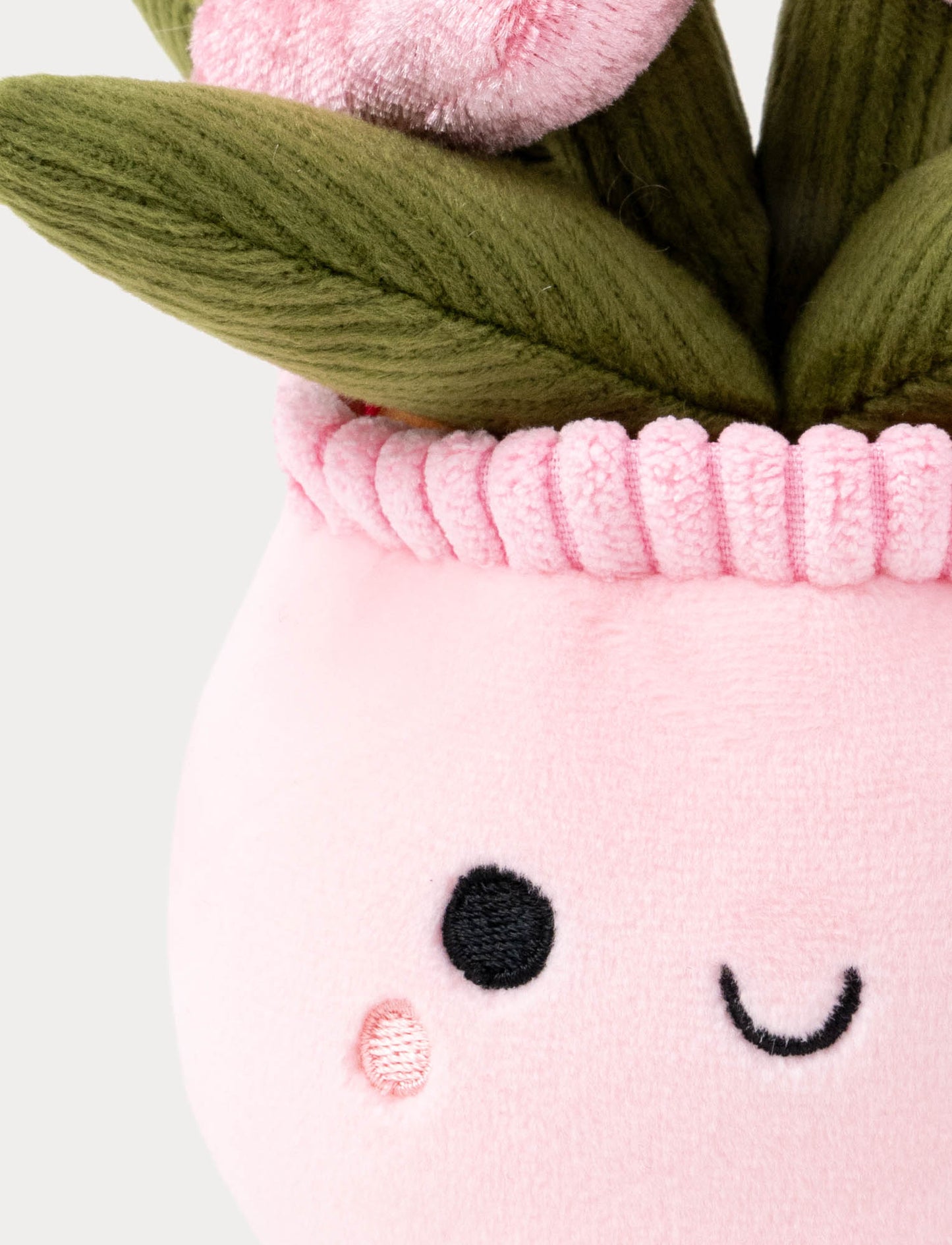 Teddy Flowers, Gift Flower