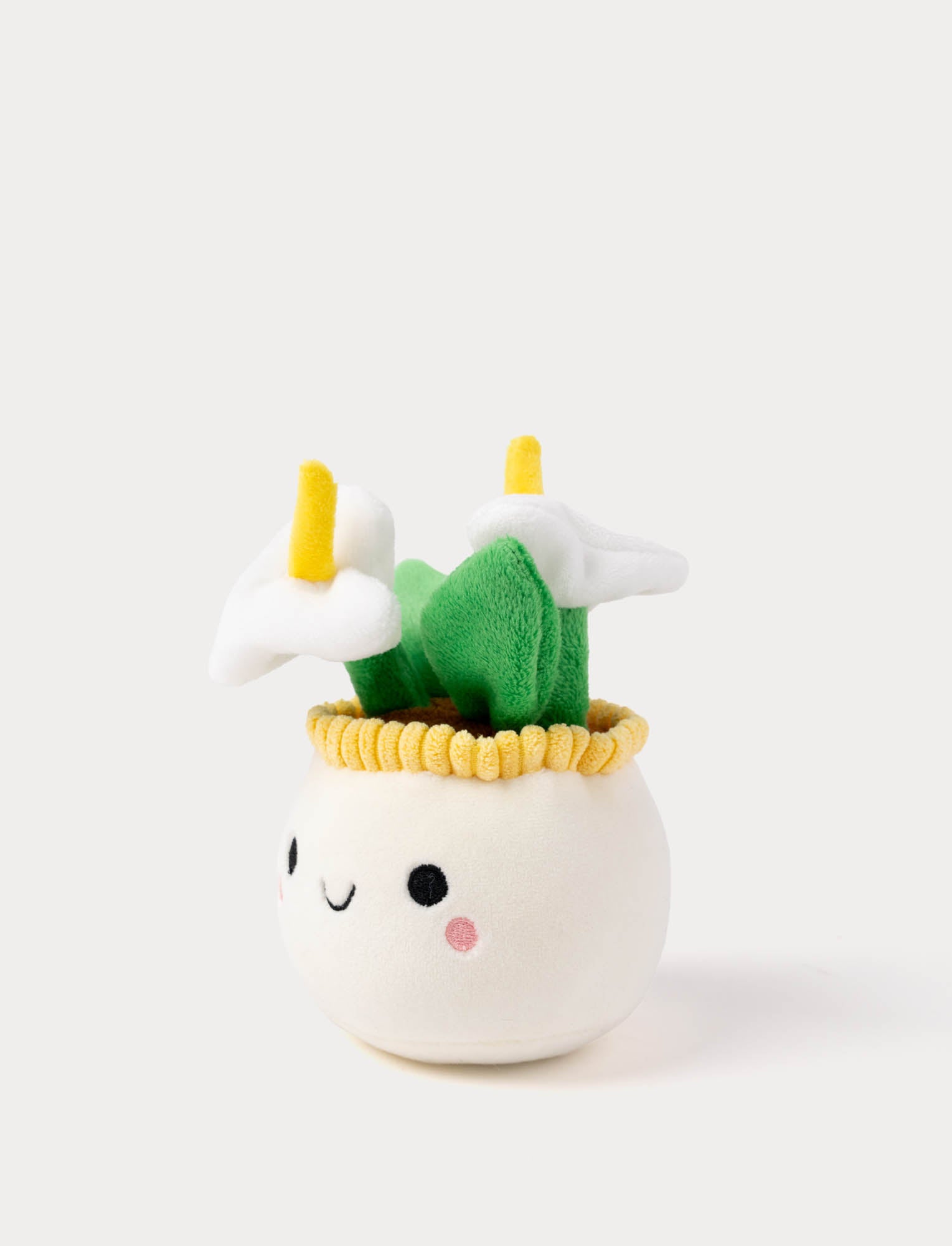  Image of Teddy Flowers, Gift Flower