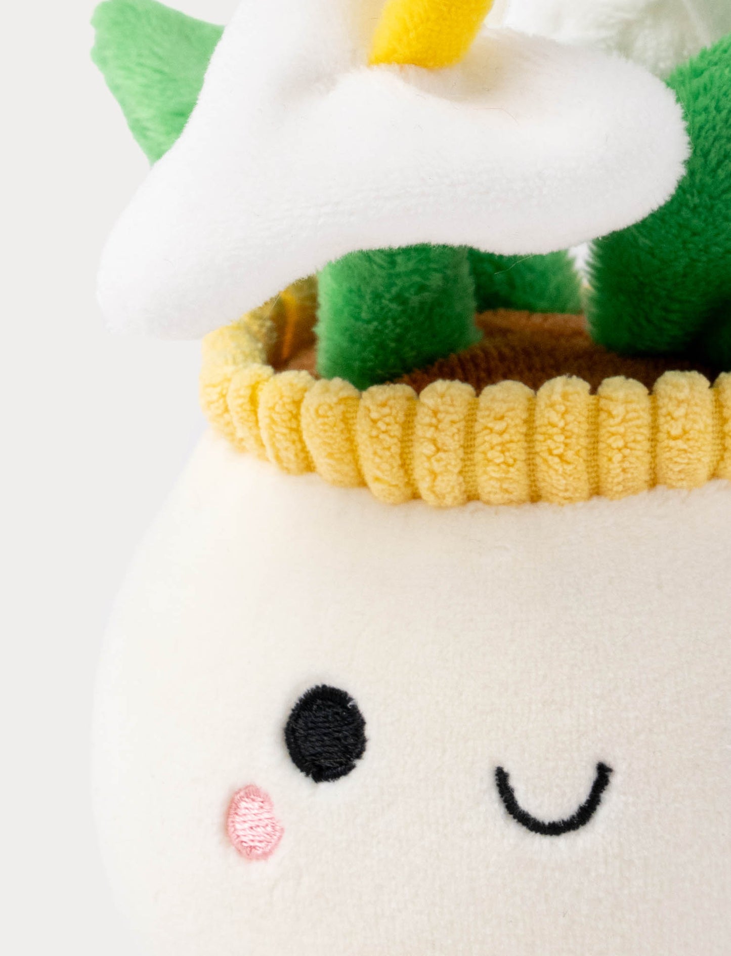 Teddy Flowers, Gift Flower