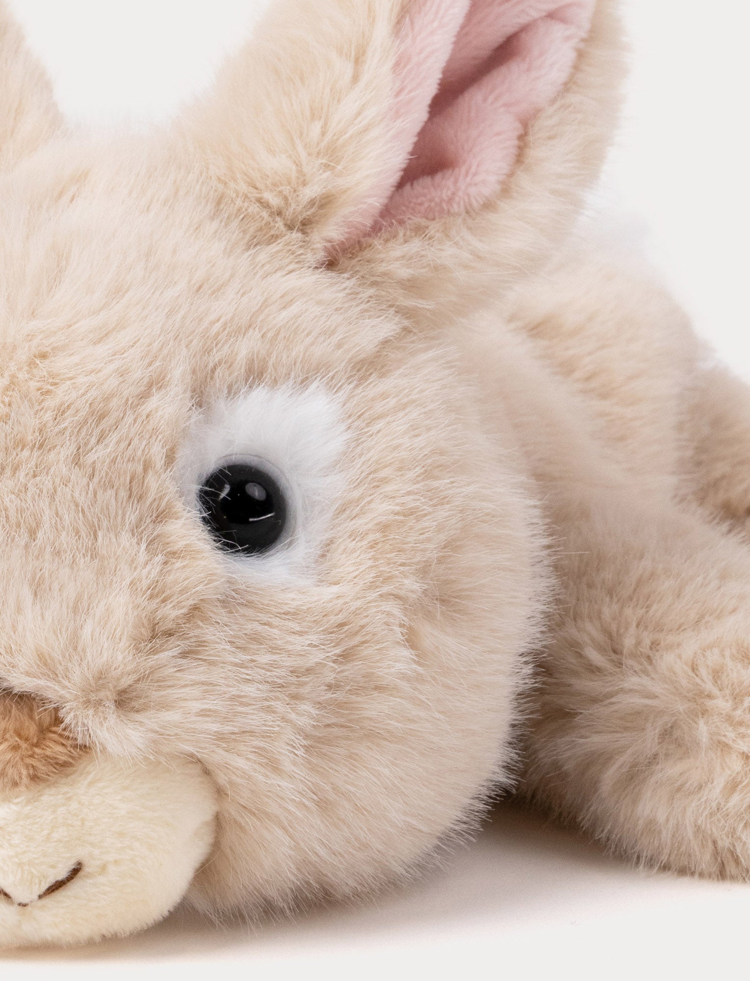  Image of Soft Squad, Bunny