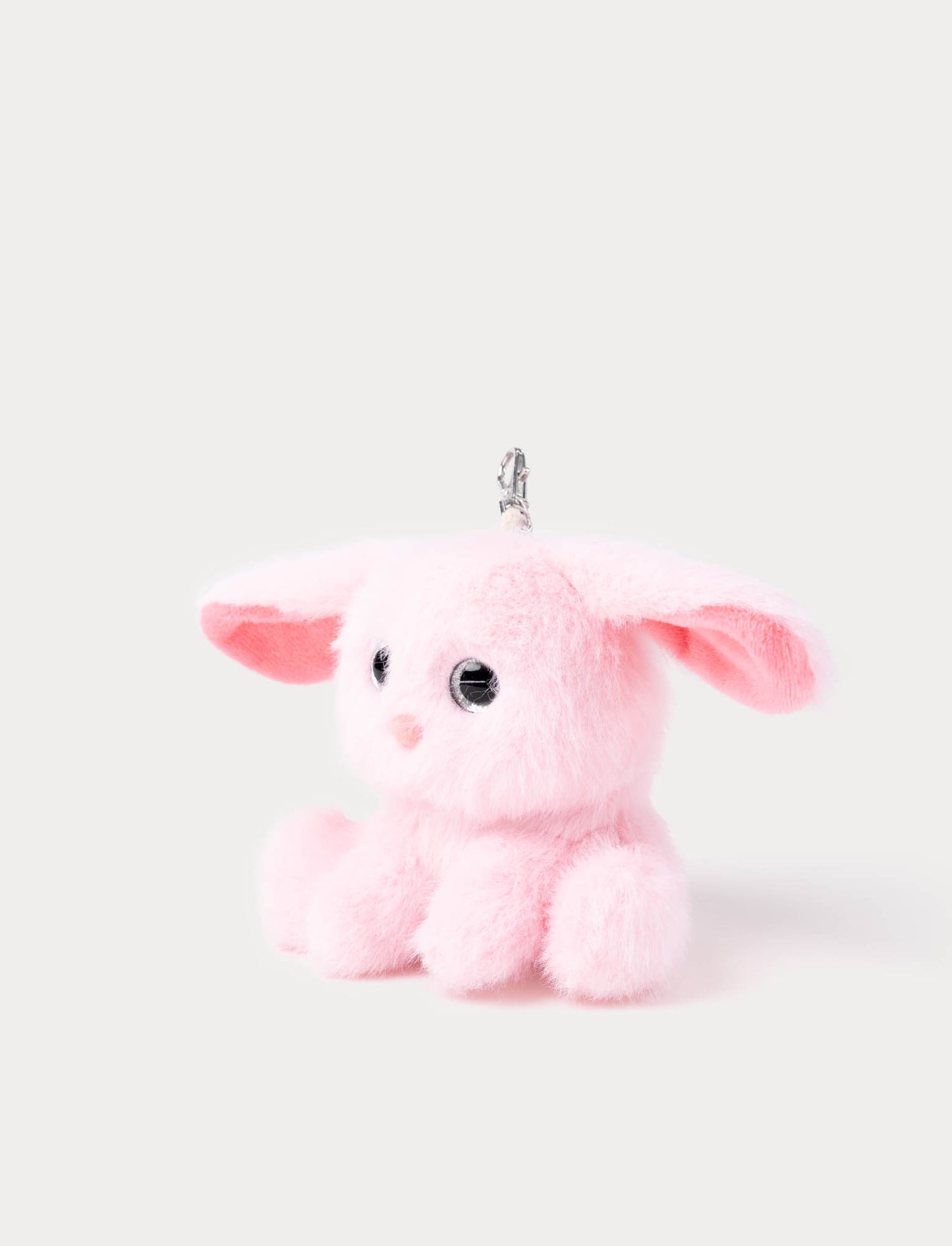 Bagtag, Animals, Bunny
